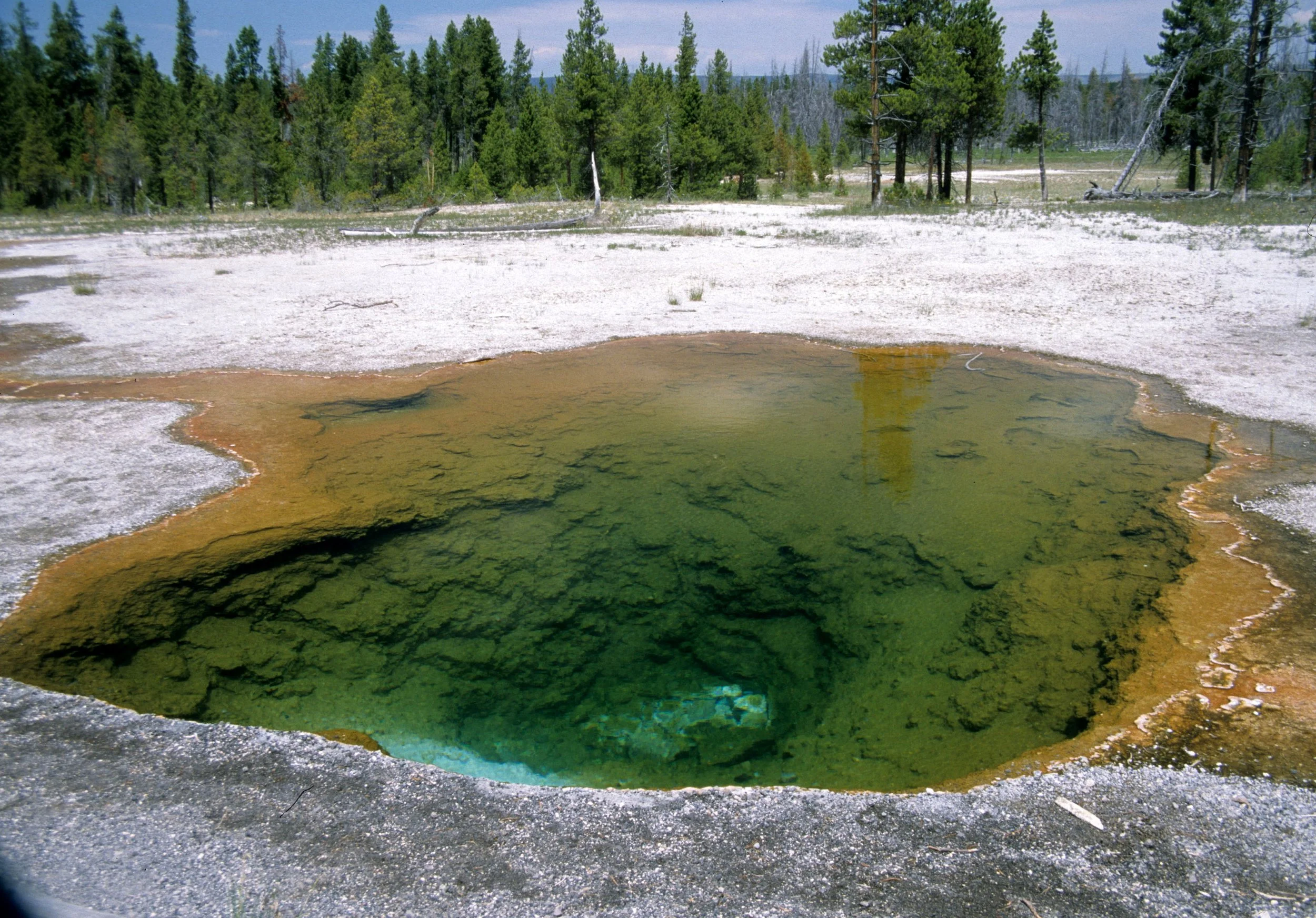 YELLOWSTONE - HOTSPRING.jpg