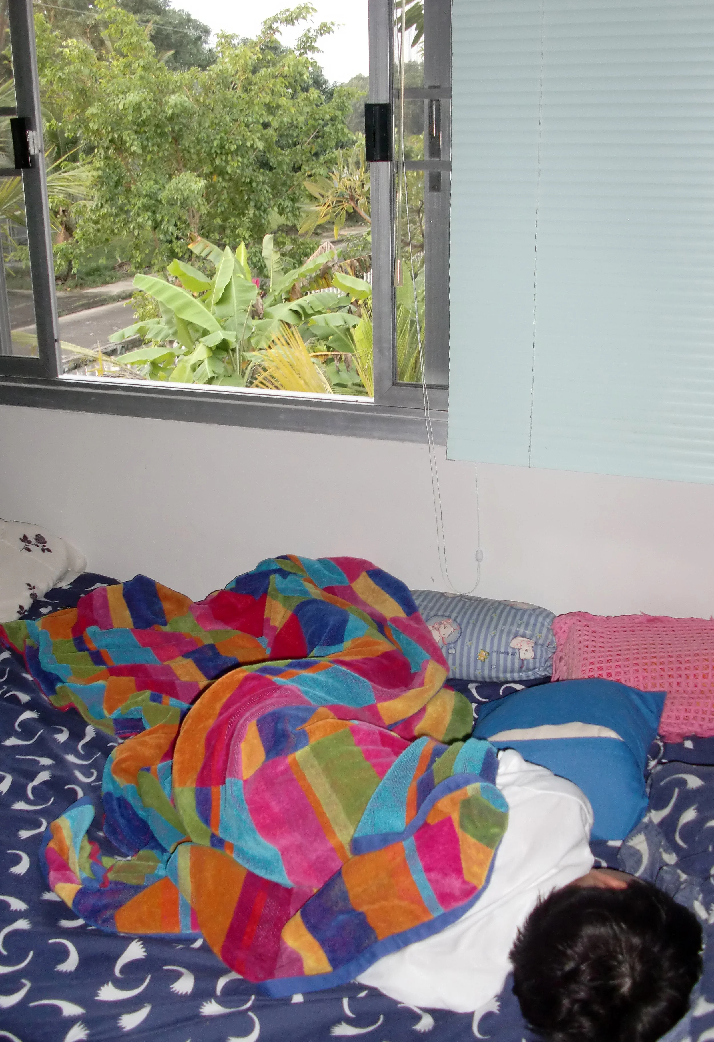 2011 Nakhonsithammarat Winter in Thailand Trip (47).JPG