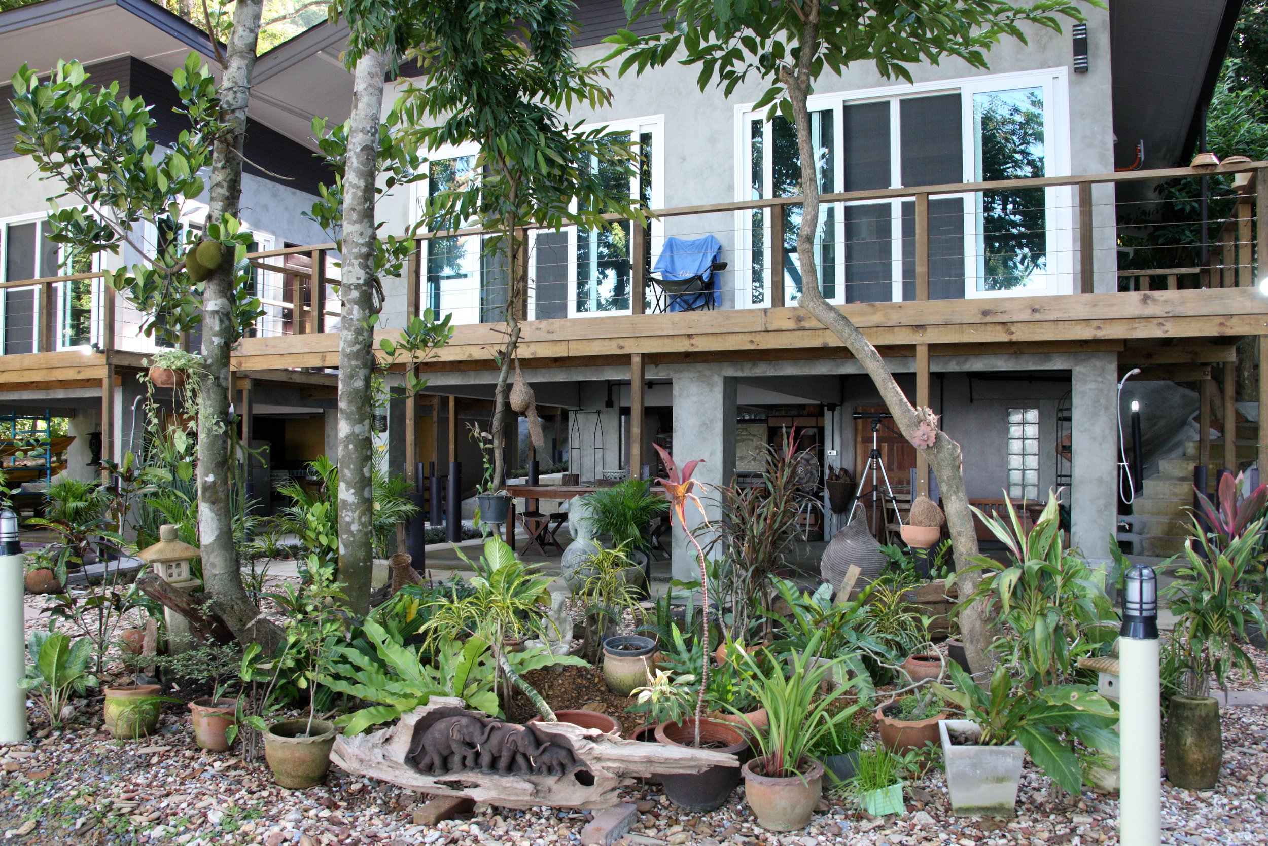 2016 Koh Lanta TheOtherSideVillas - Langur (13).JPG
