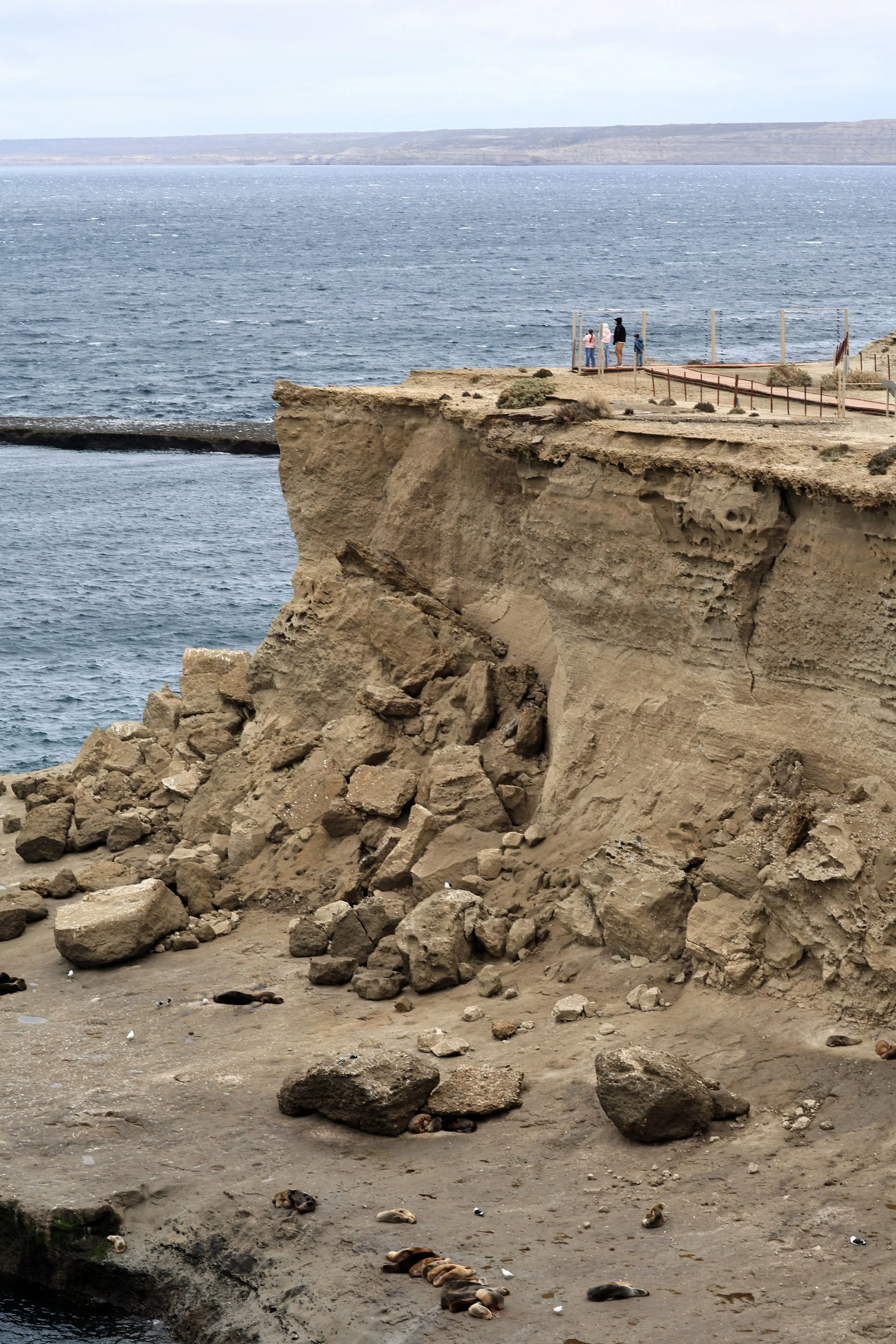 Puerto Pyramides, Valdes Peninsula, Chubut Province, Argentina (177).jpg