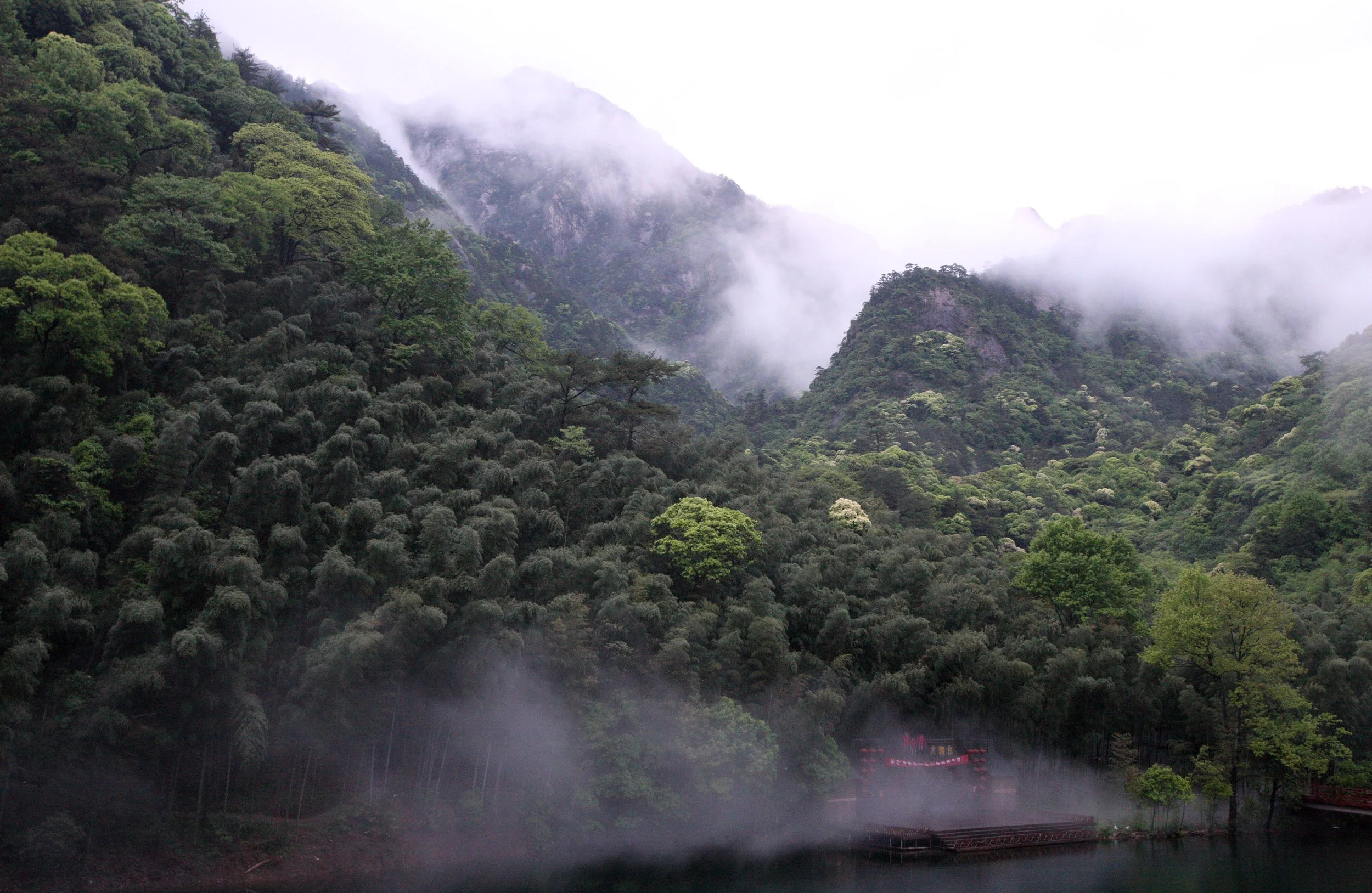 GUNIUJIANG NATURE RESERVE - ANHUI PROVINCE CHINA (24).JPG