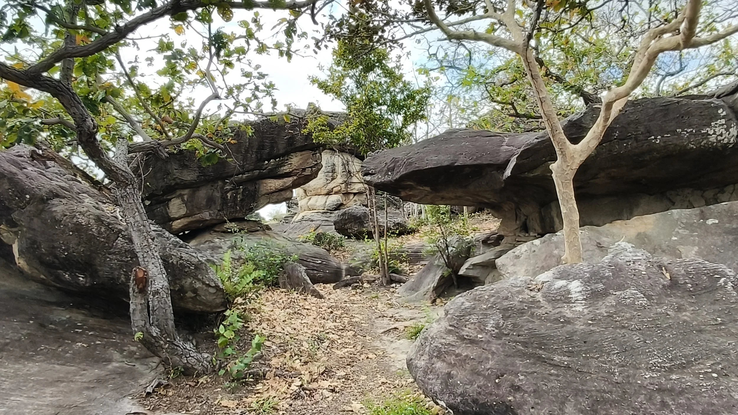  Phu Pha Thoep National Park - Mukdahan Thailand (43).jpg