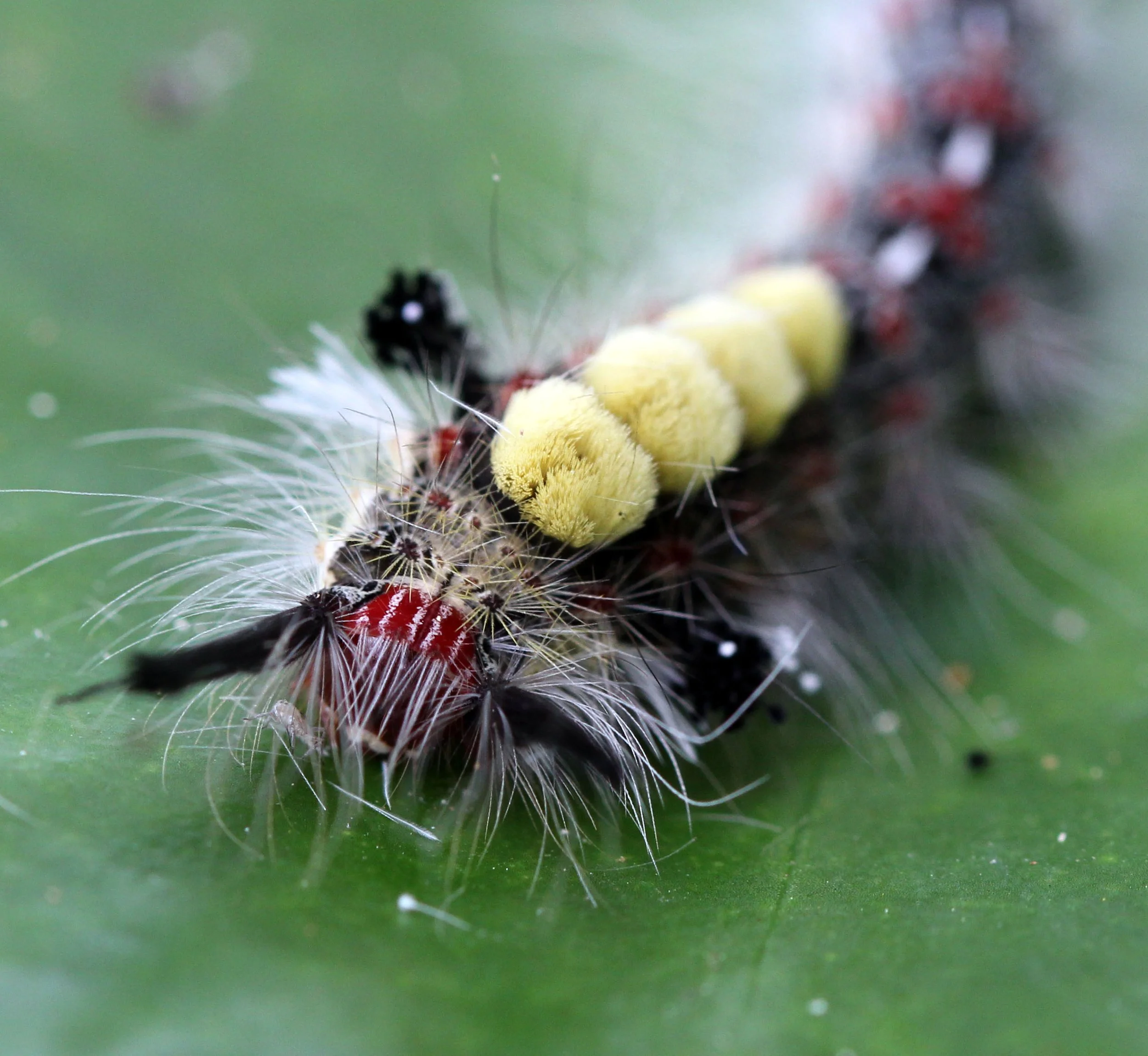 2013 Cha'am and Petchaburi with Family & Friends (20).JPG