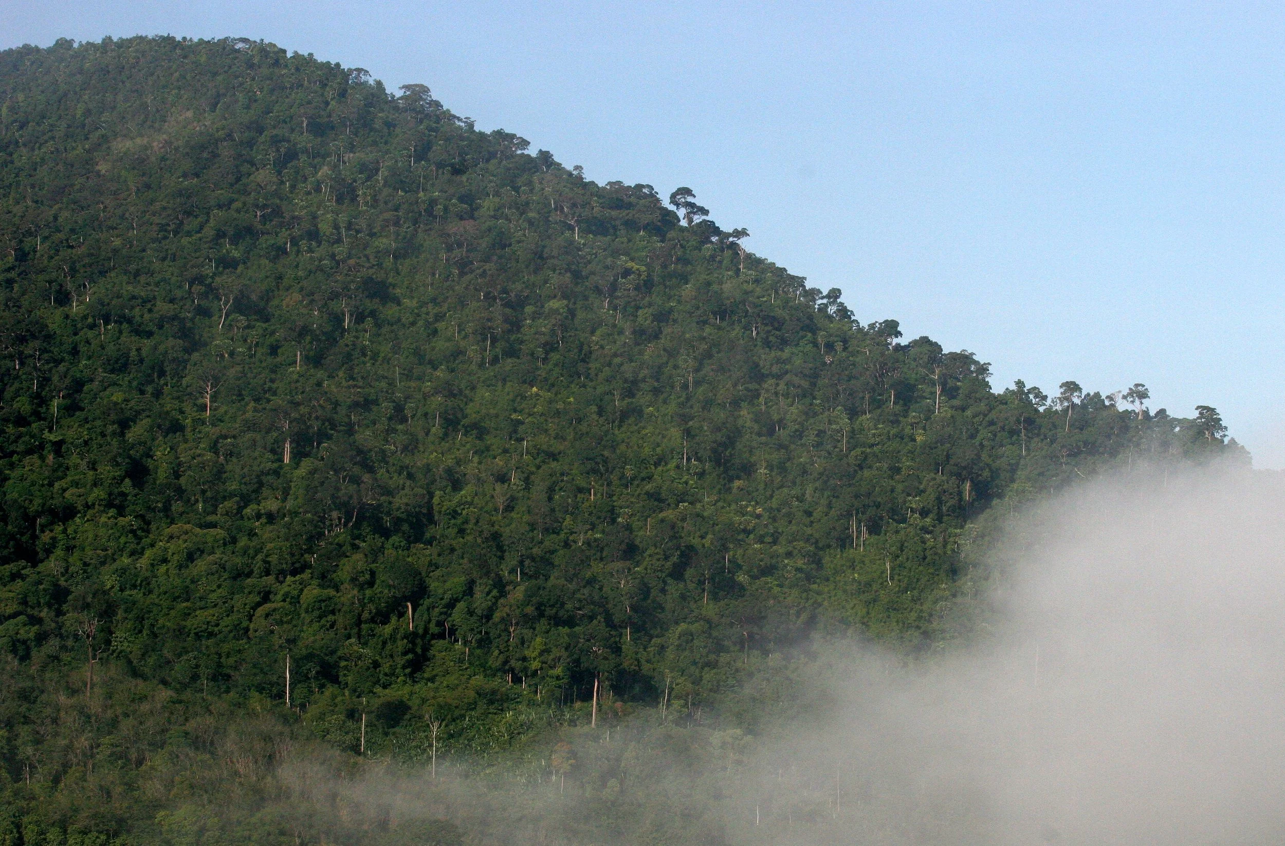 KRUNG CHIN - 2008 - THALE MOG VIEW AREA (6).JPG