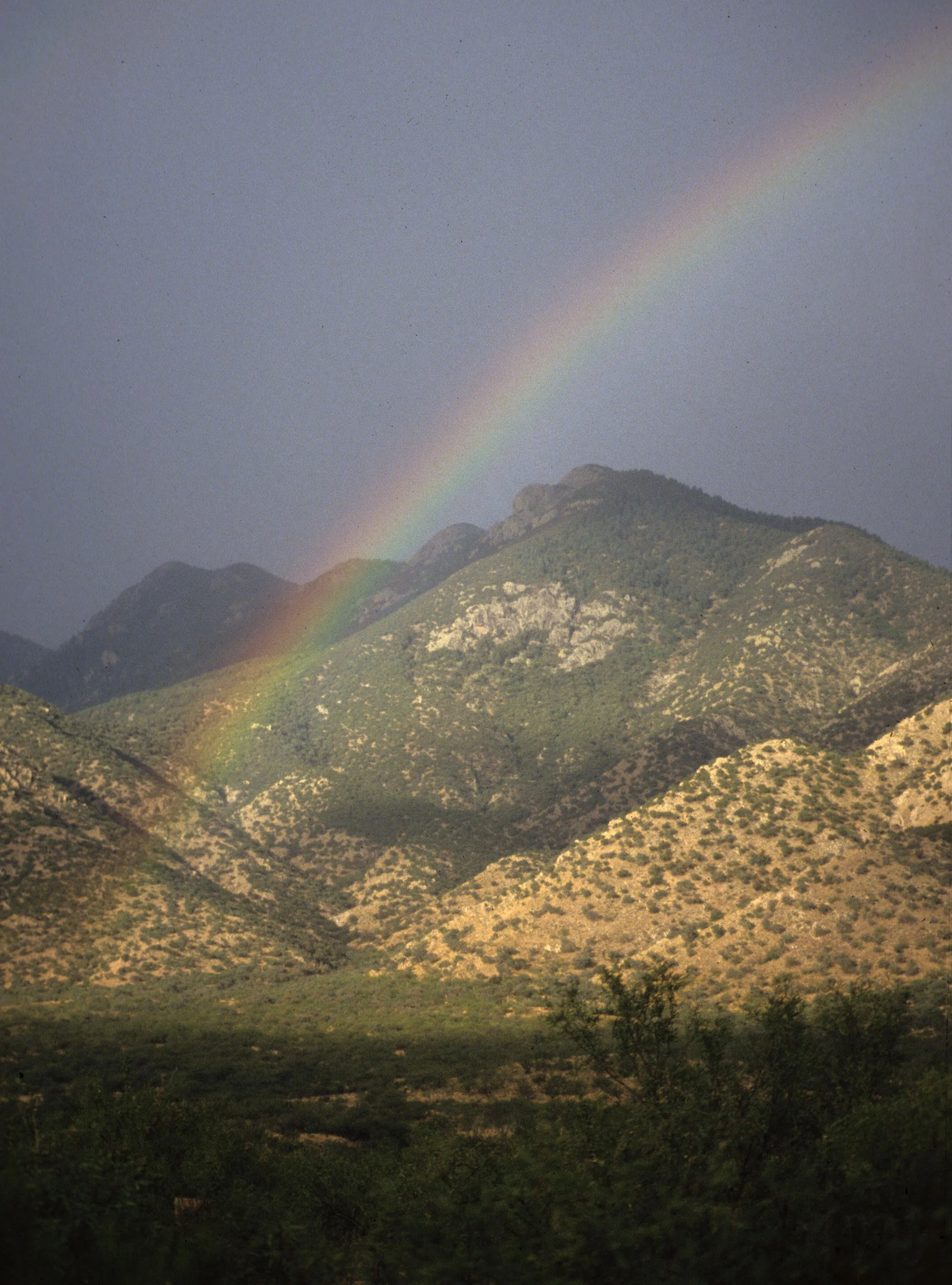 ARIZONA - MADERA CANYON - MONSOON RAINBOW B.jpg