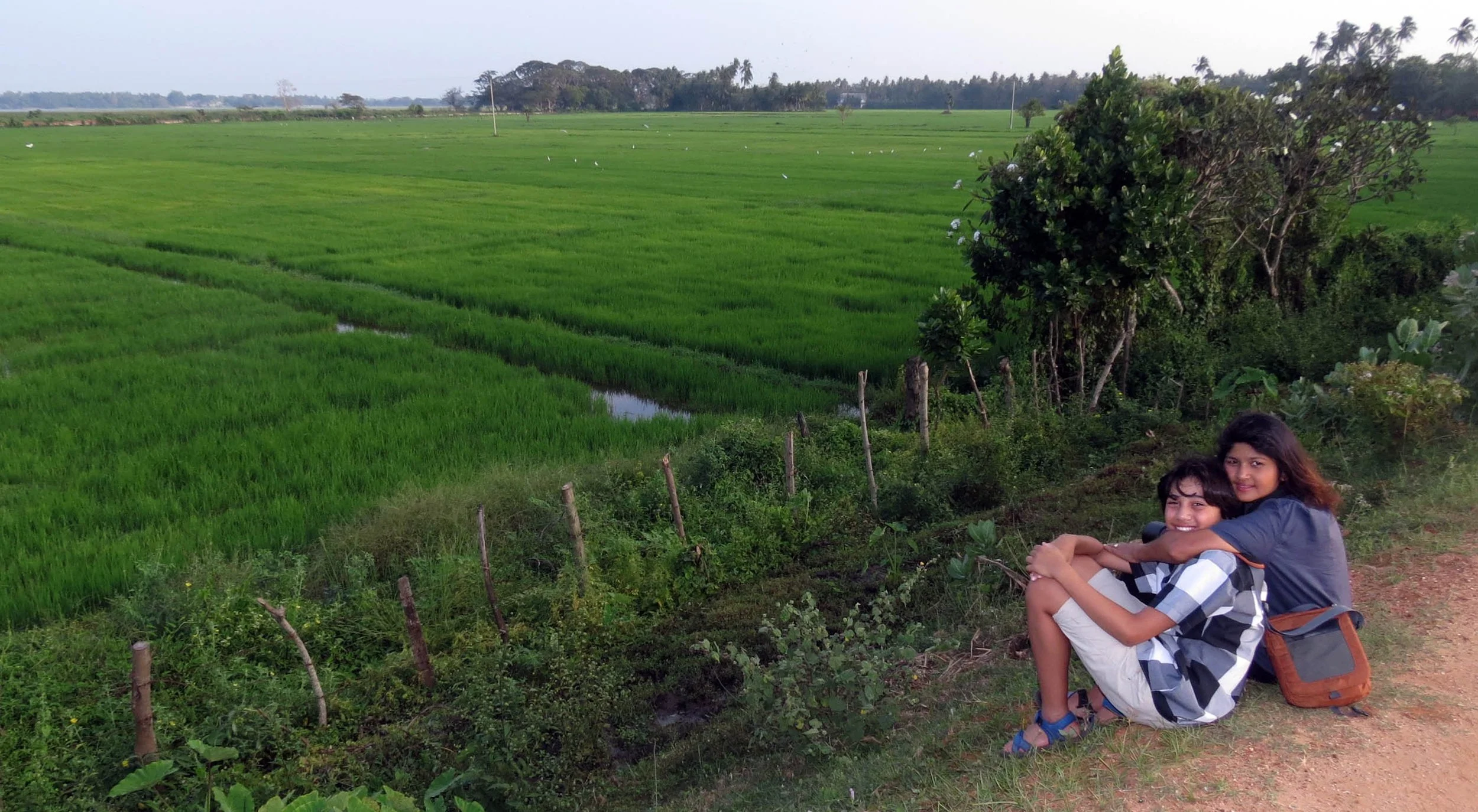 YALA NATIONAL PARK SRI LANKA - KIRINDA VILLAGE AREA (9).JPG