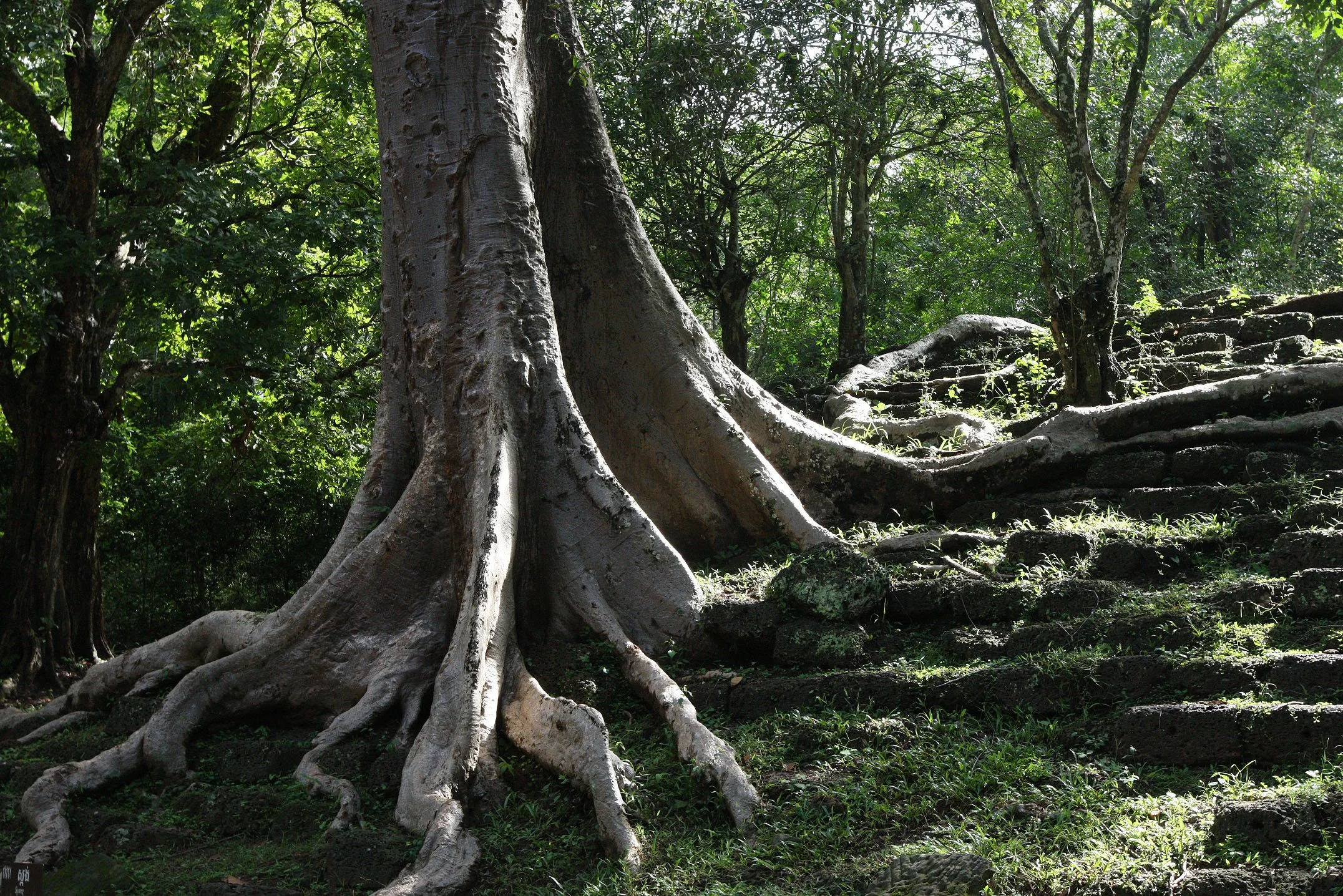 BAYON TEMPLE - CAMBODIA - JULY 2010 (12).JPG