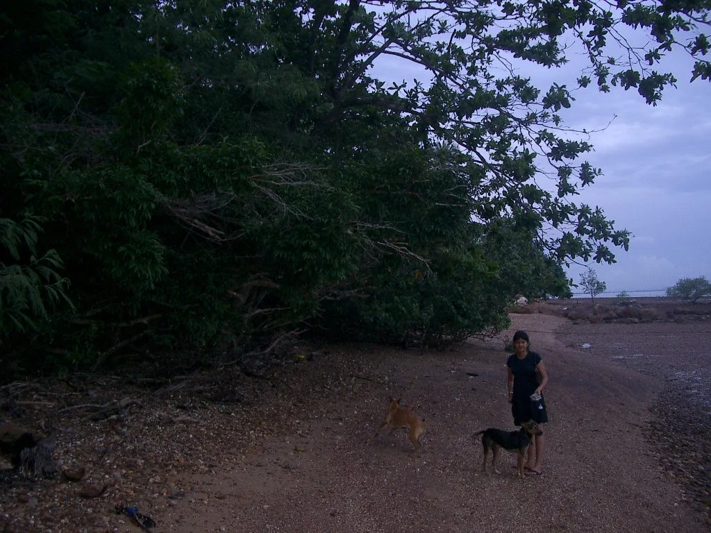 KOH LANTA - PROPERTY - 2004 (114).JPG