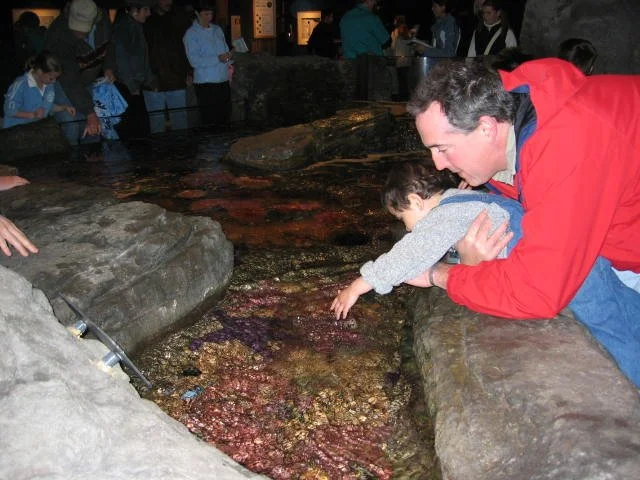 2005-4-16 SEATTLE DAY TO AQUARIUM.jpg
