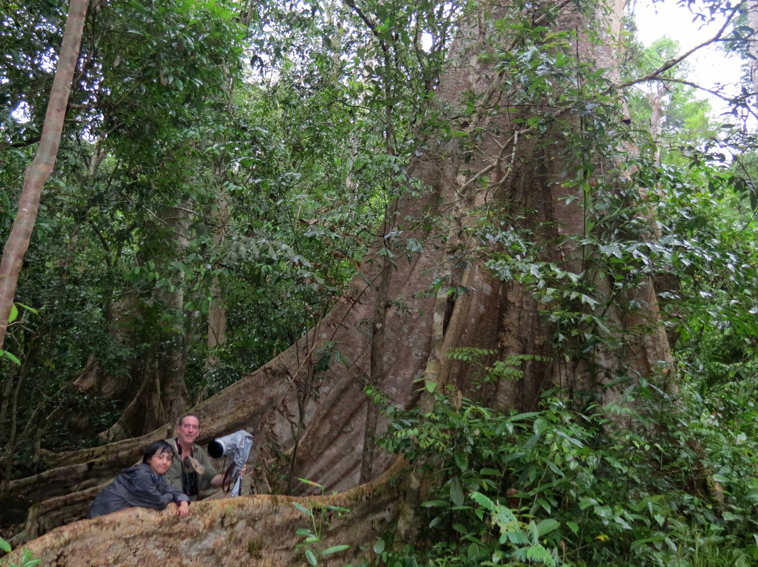 CAT TIEN NATIONAL PARK VIET NAM (104).JPG