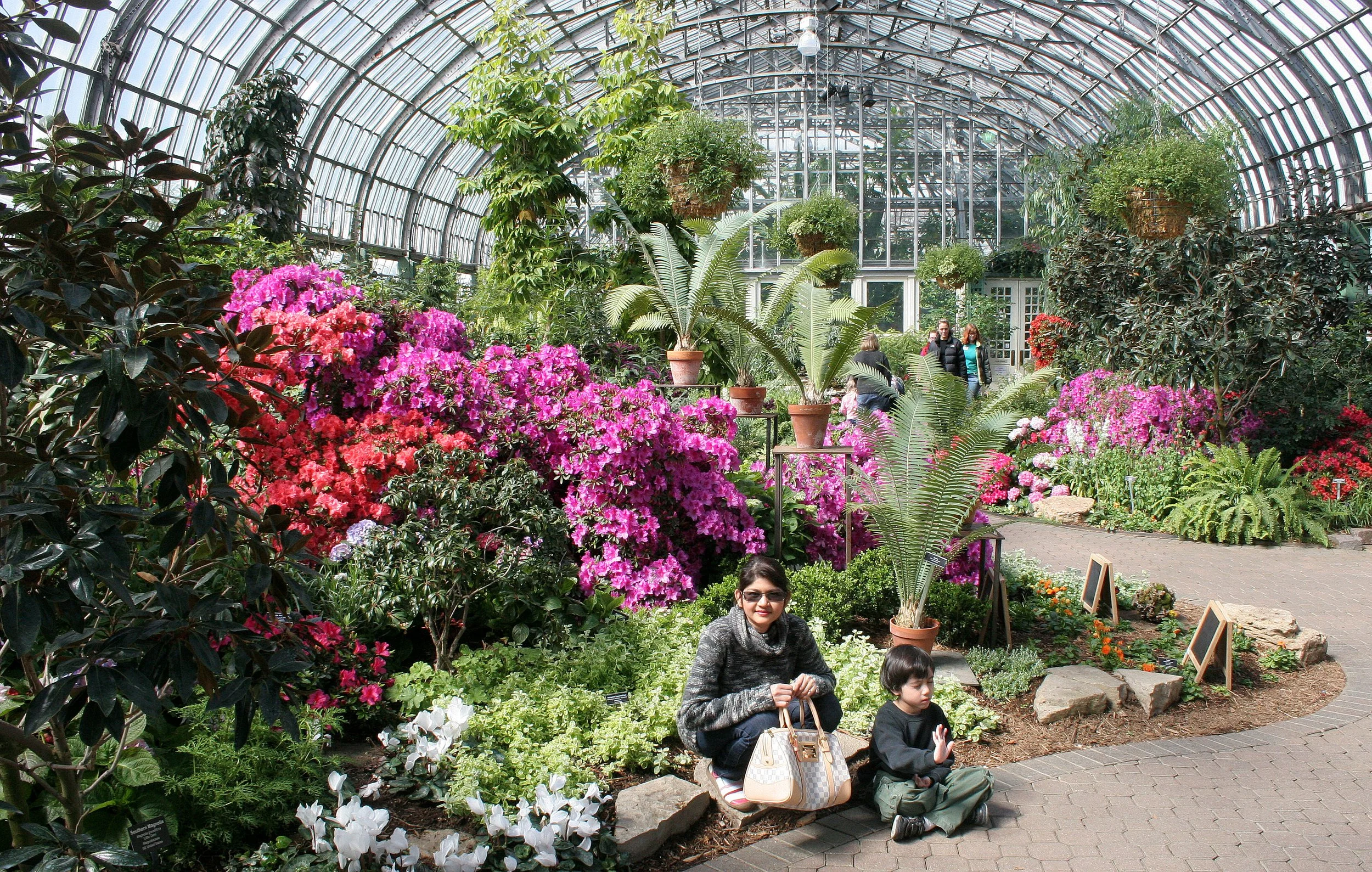 2008-4-3 CHICAGO SPRING TRIP - GARFIELD PARK CONSERVATORY (3).JPG