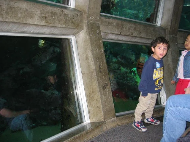 2005-10-29 DAY TRIP TO SEATTLE MUSEUMS AND AQUARIUM (14).JPG