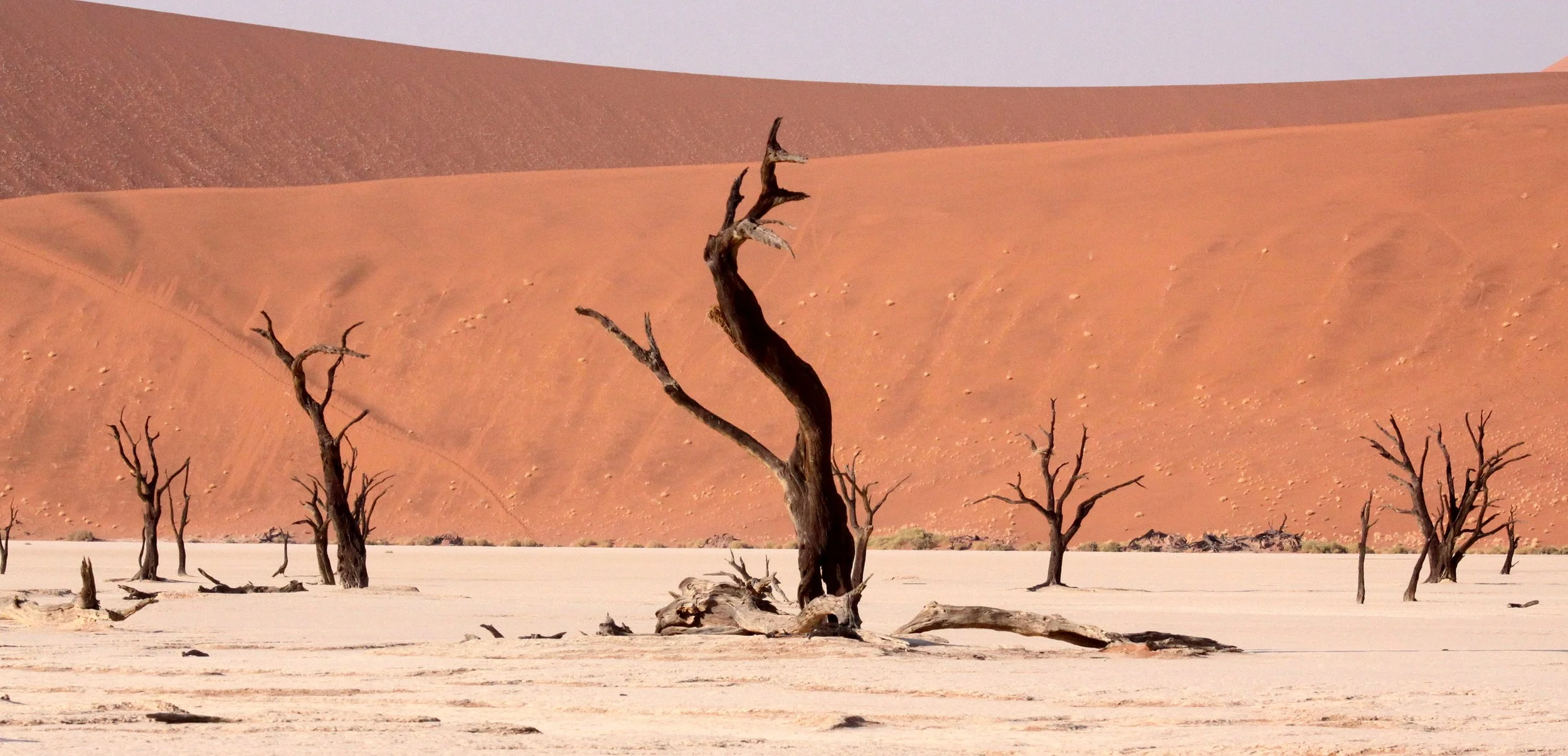 SOSSUSVLEI, NAMIB NAUKLUFT NATIONAL PARK, NAMIBIA - DEAD VLEI (16).JPG