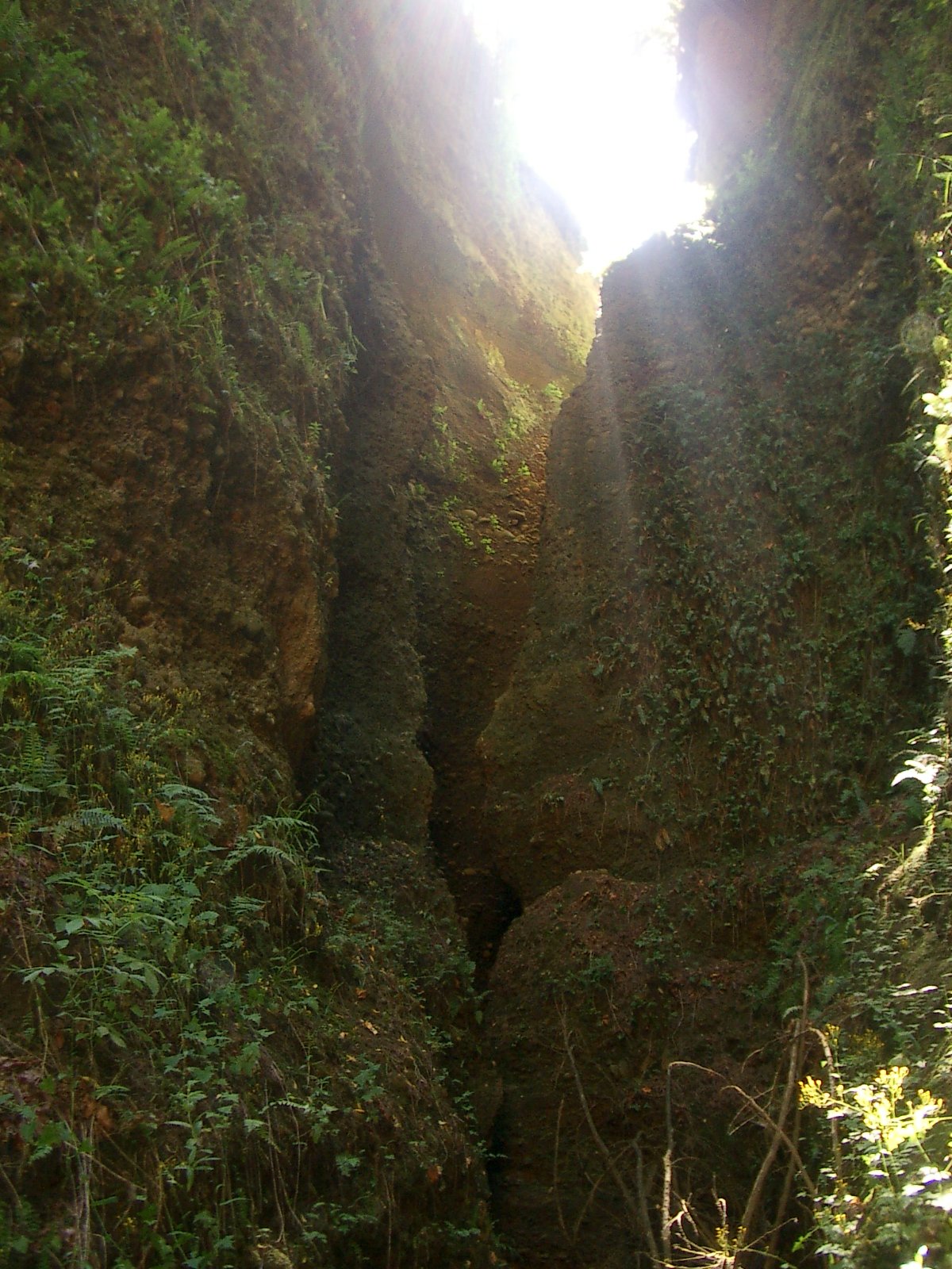 Chinaman's Cave at Lake Farm OP