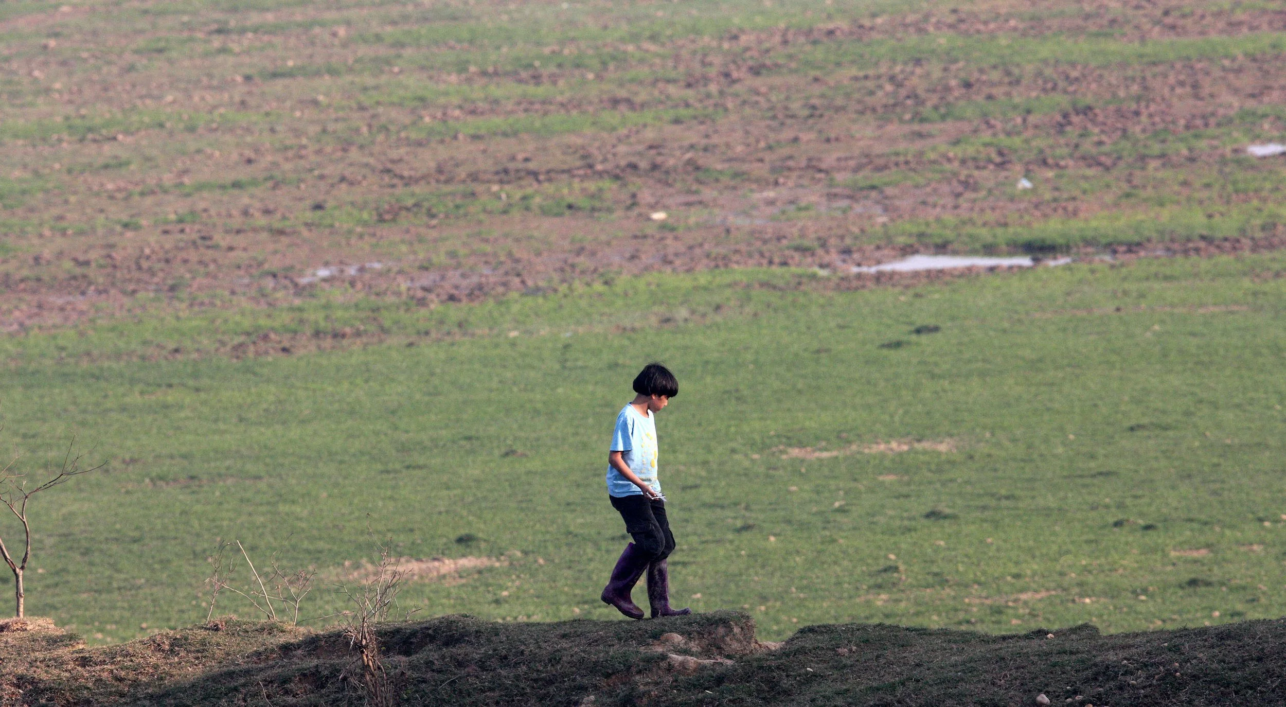 NANJI HILL RESERVE POYANG LAKE, JIANGXI PROVINCE, CHINA (27).JPG