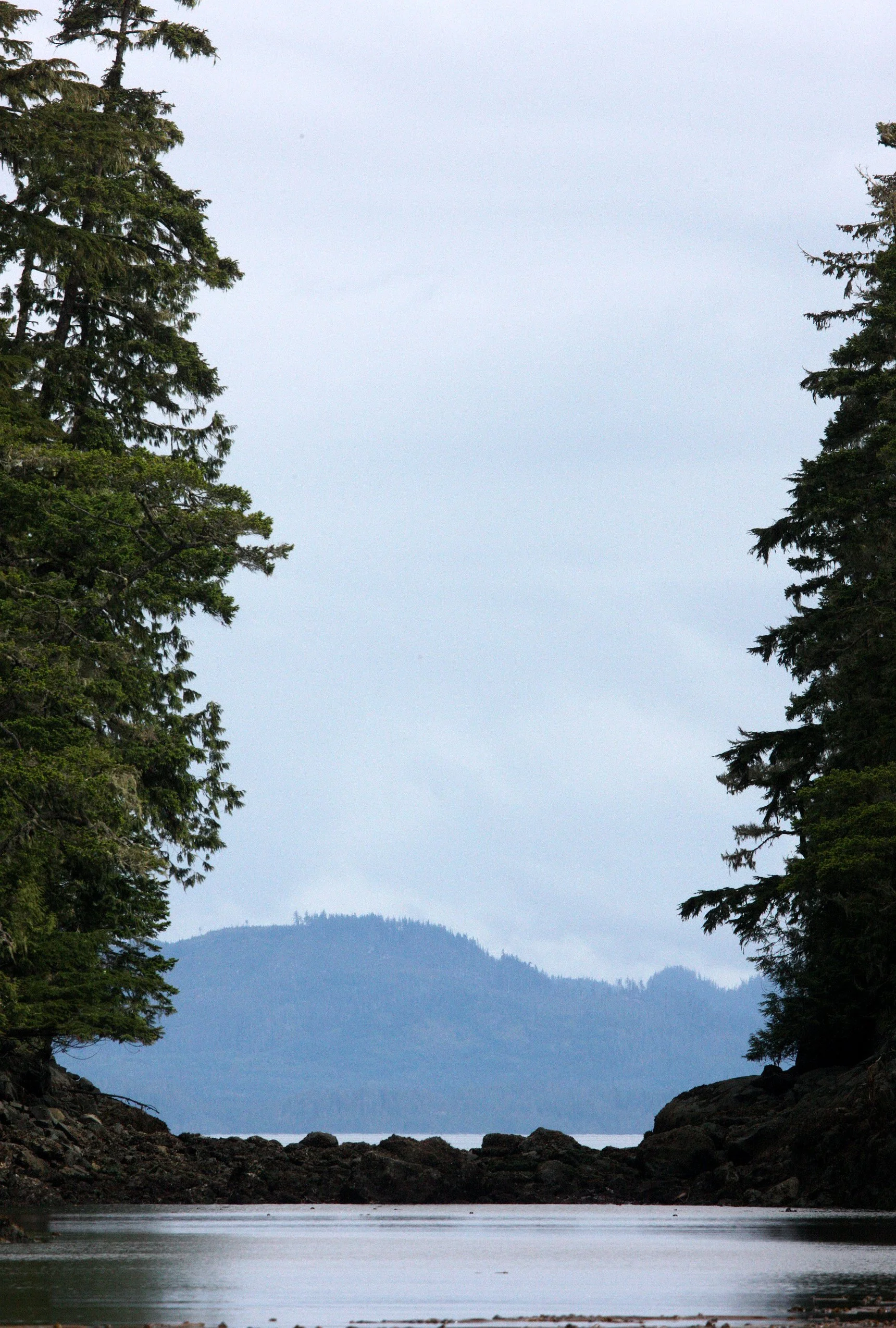 KNIGHT'S INLET BRITISH COLUMBIA (13).JPG