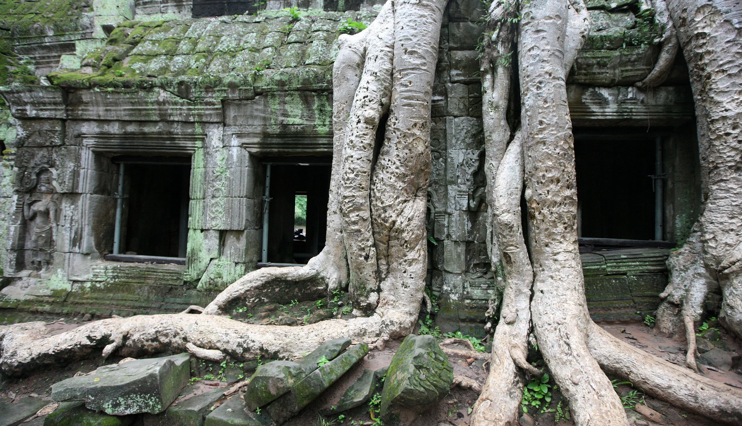 TA PROHM TEMPLE CAMBODIA - JULY 2010 (82).JPG