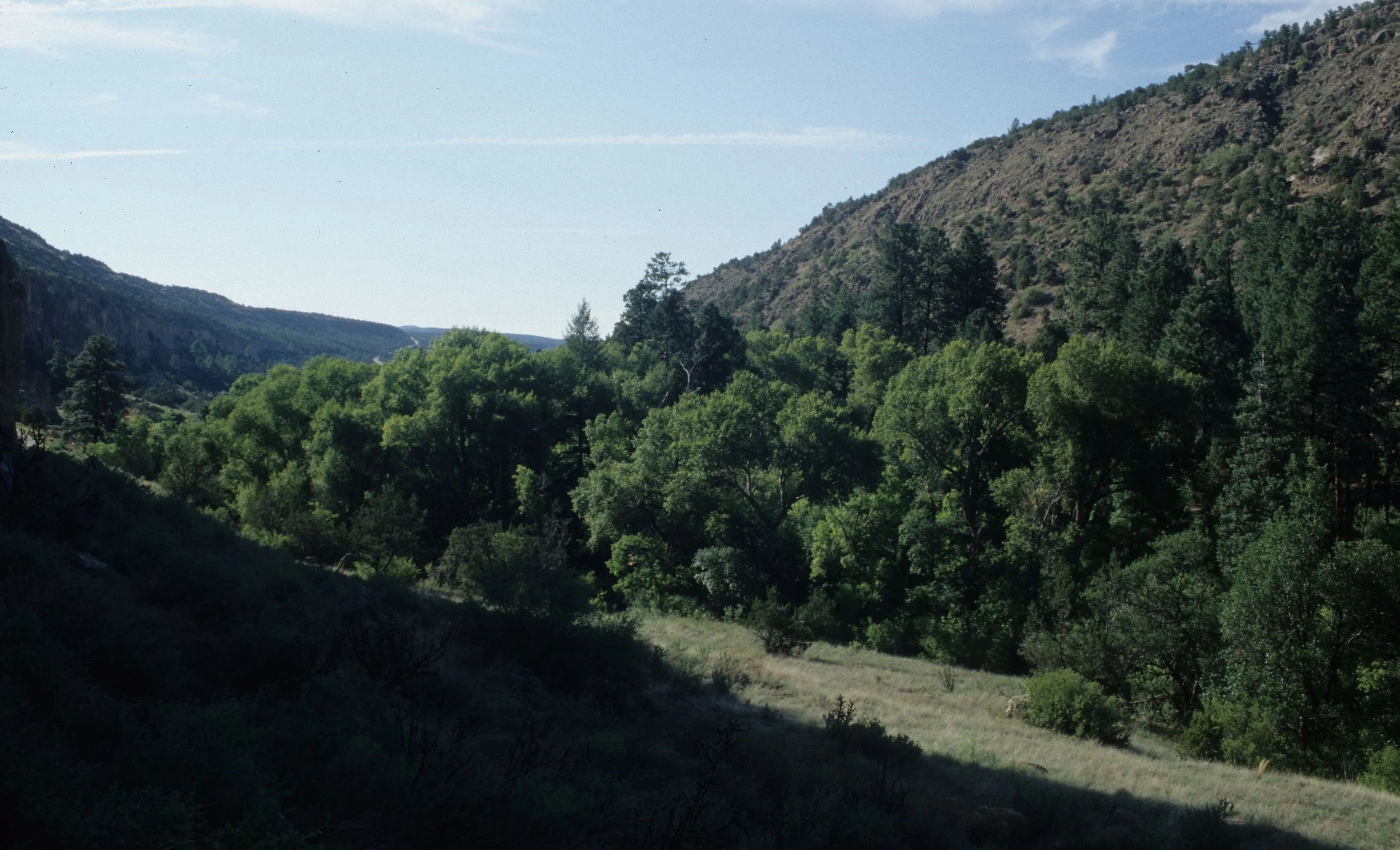 ANASAZILAND - BANDELIER NM CANYON.jpg