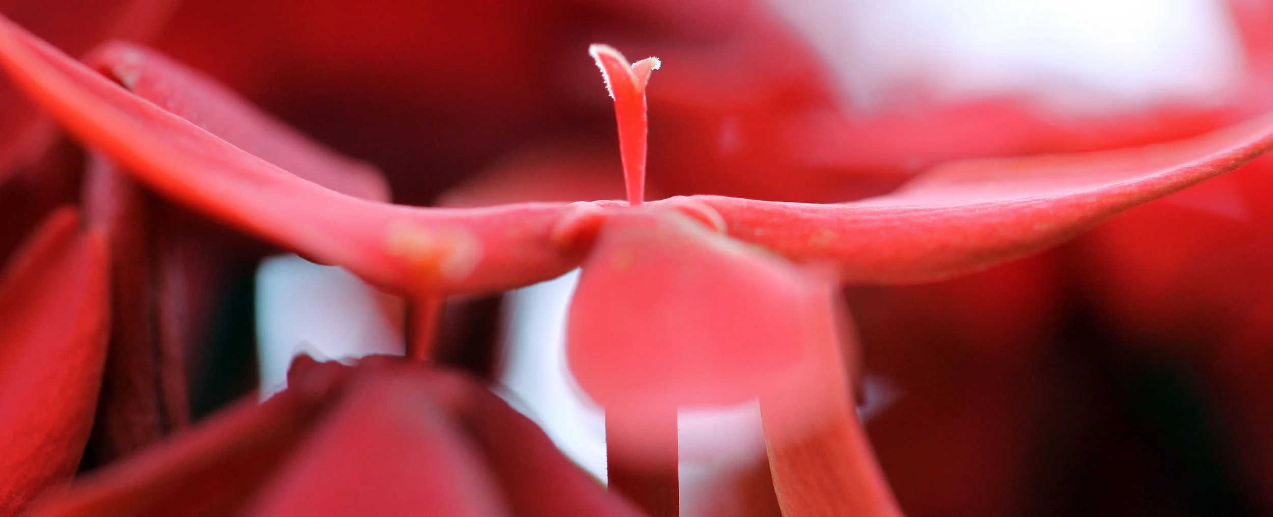 2013 Cha'am and Petchaburi with Family & Friends (4).JPG