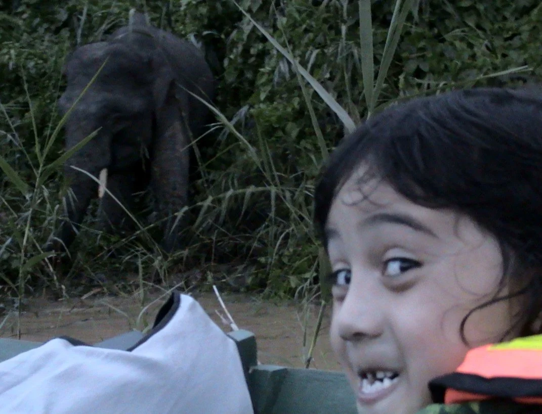 BORNEO - US WITH THE ELEPHANTS (9).JPG