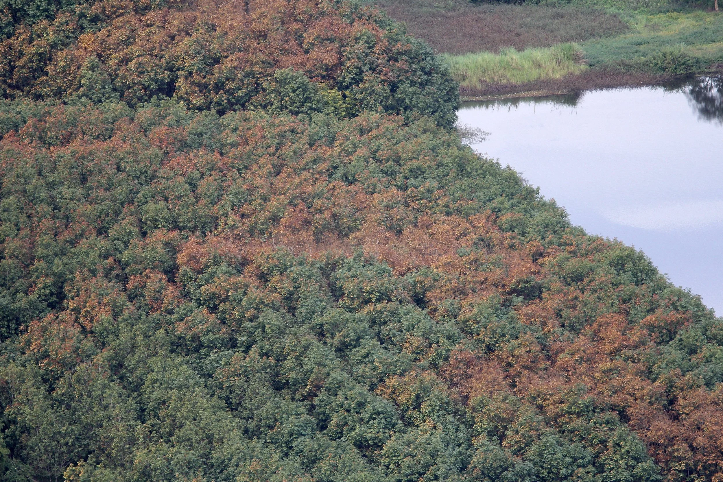 2018 Wat Phatak Sua Nongkai Road Trip (21).JPG