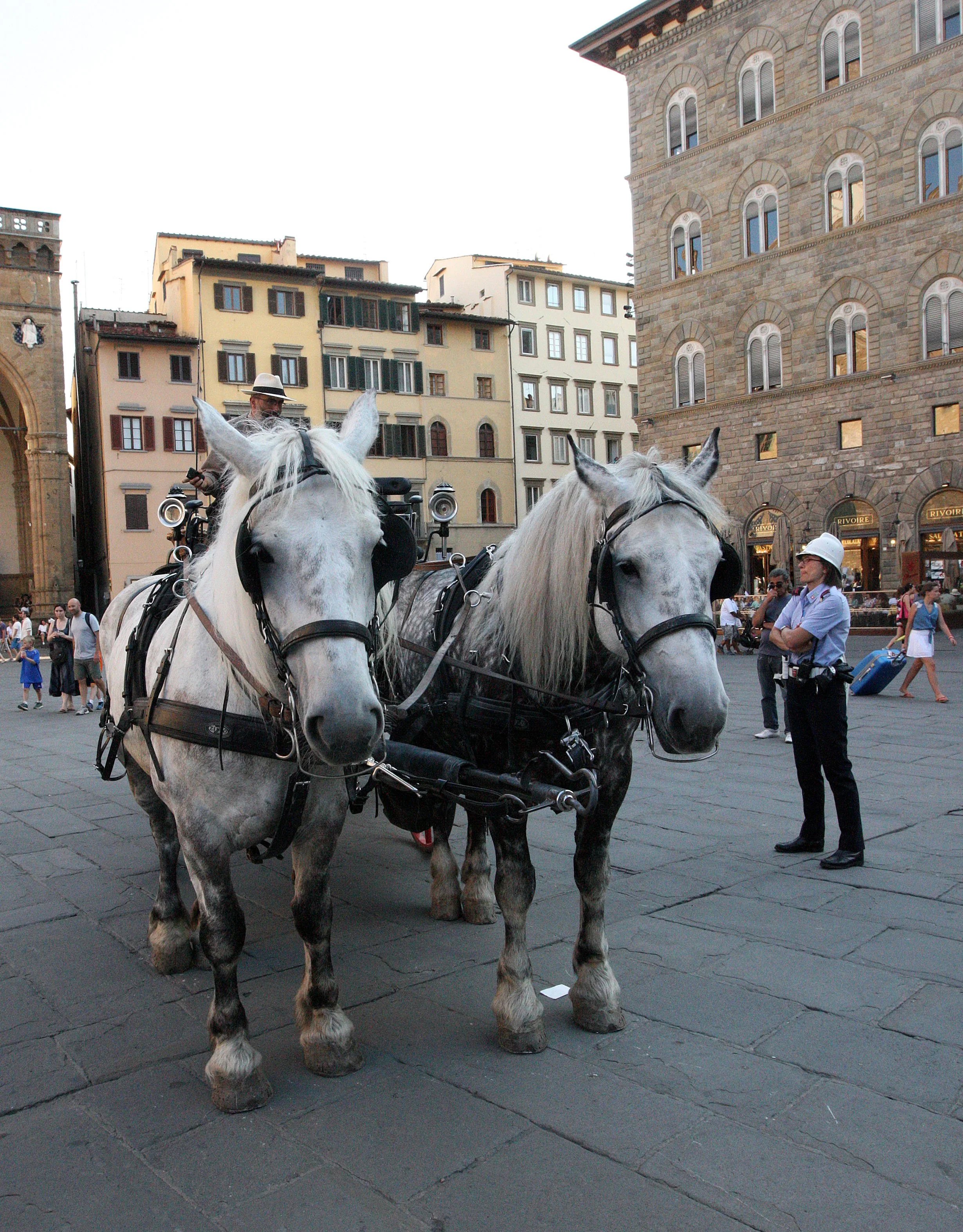 FLORENCE ITALY - SUMMER 2013 (69).JPG