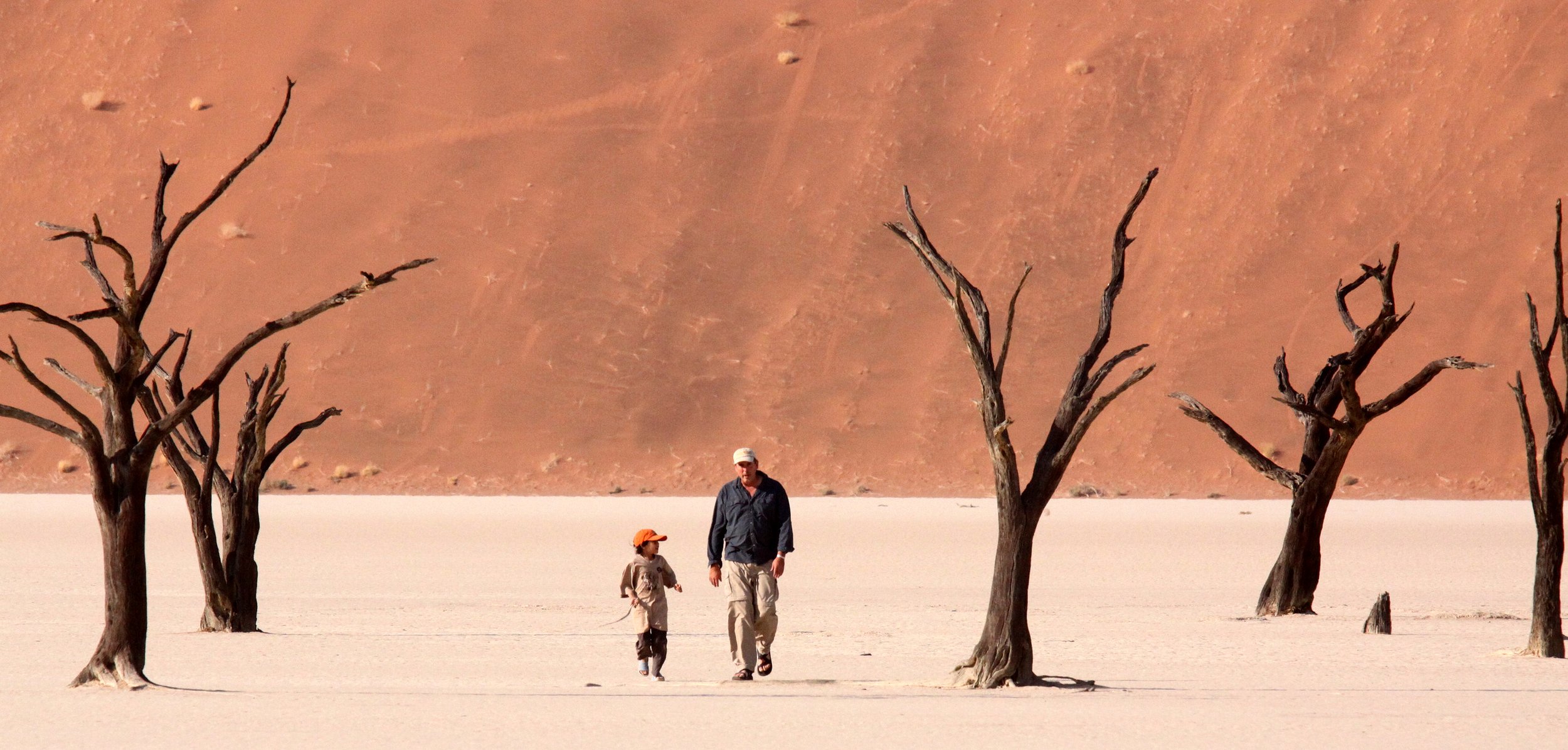 SOSSUSVLEI, NAMIB NAUKLUFT NATIONAL PARK, NAMIBIA - DEAD VLEI (47).JPG