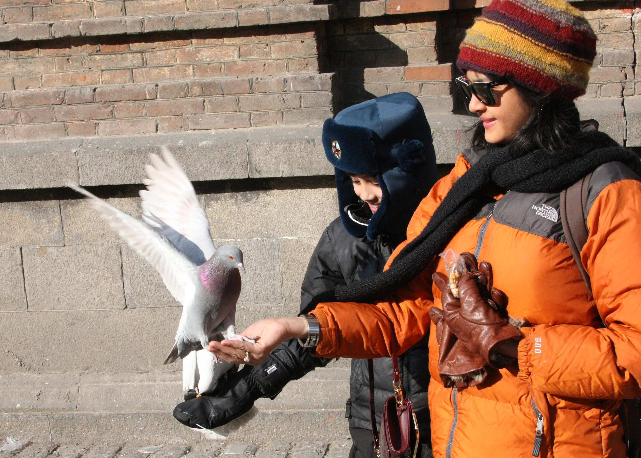BIRD - PIGEON - HARBIN SAINT SOPHIA'S CATHEDRAL CHINA (33).JPG