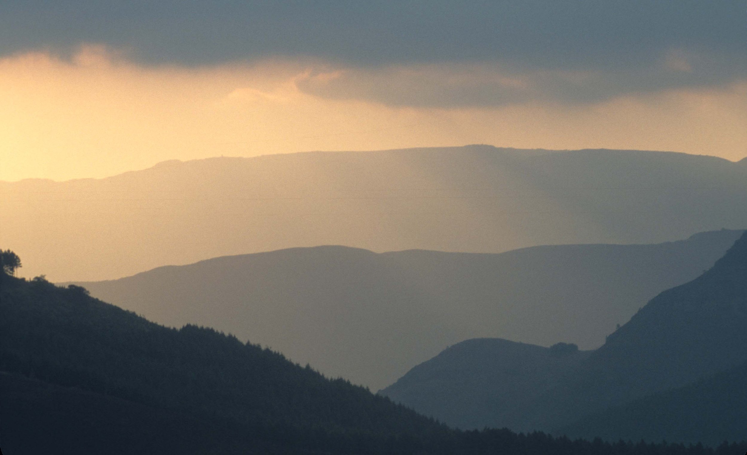 KRUGER - SUNSET.jpg