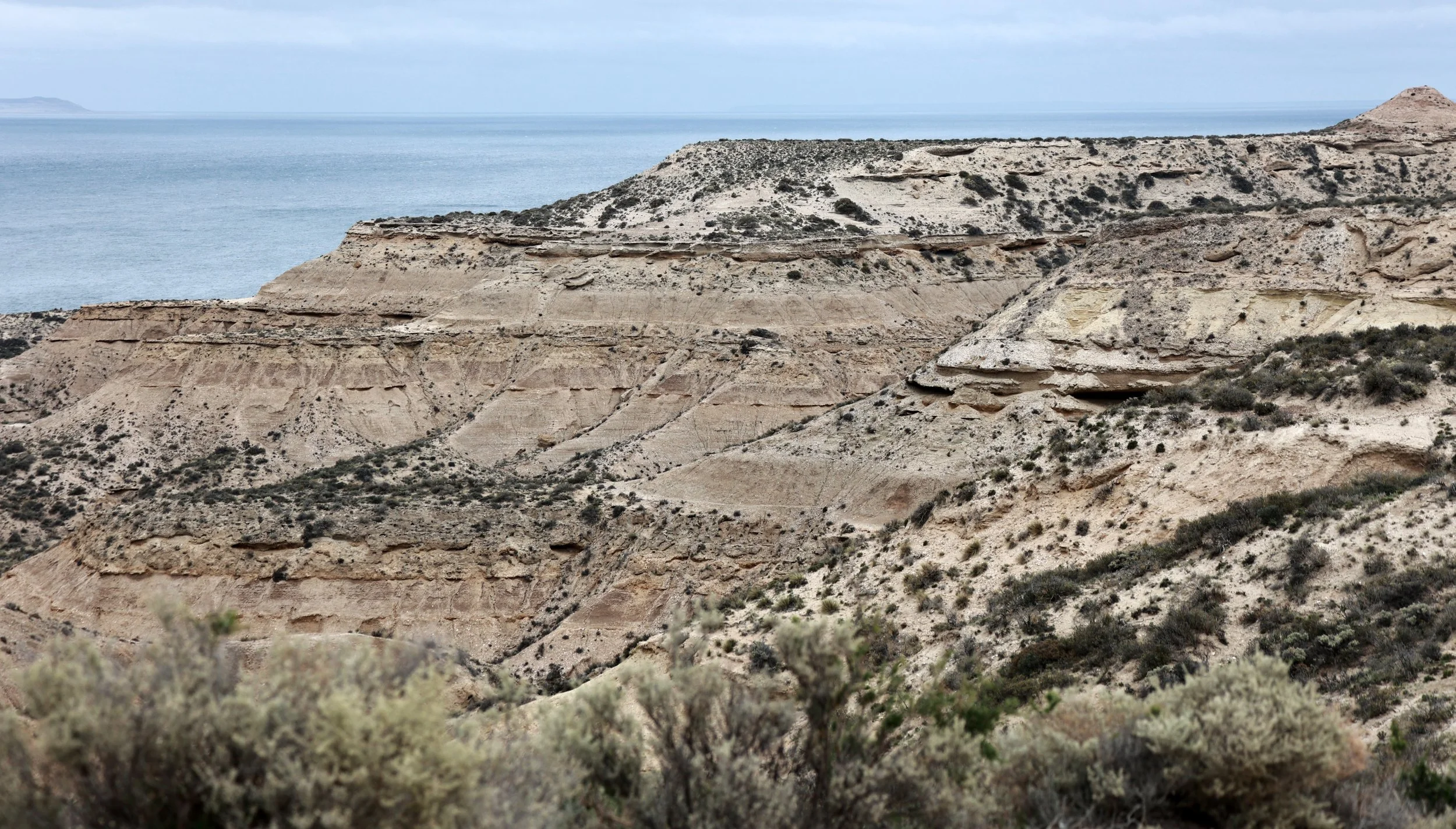 Valdes Peninsula, Chubut Province, Argentina (19).jpg