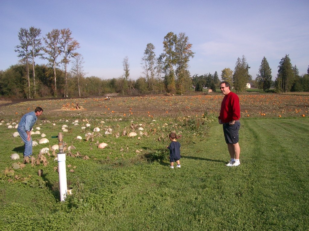 2003-10-26 PUMPKIN PATCH PORT ANGELES (4).JPG