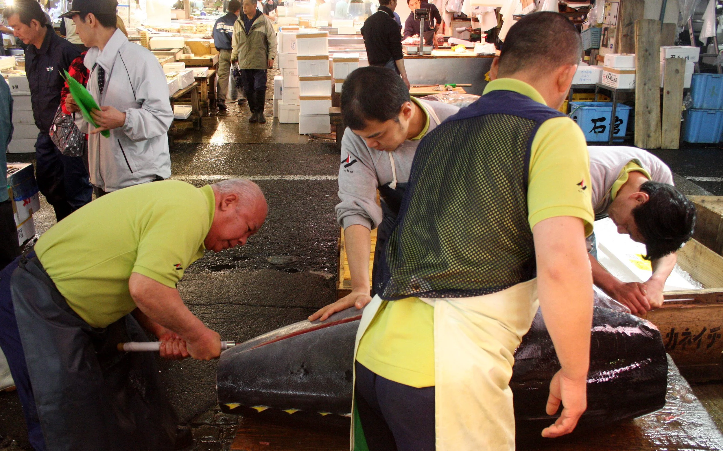 TOKYO - MAY 2009 - TSUKIJI MARKET (40).JPG