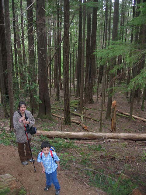 2007-2-27 HIKE UP TO STORM KING ONP (28).jpg