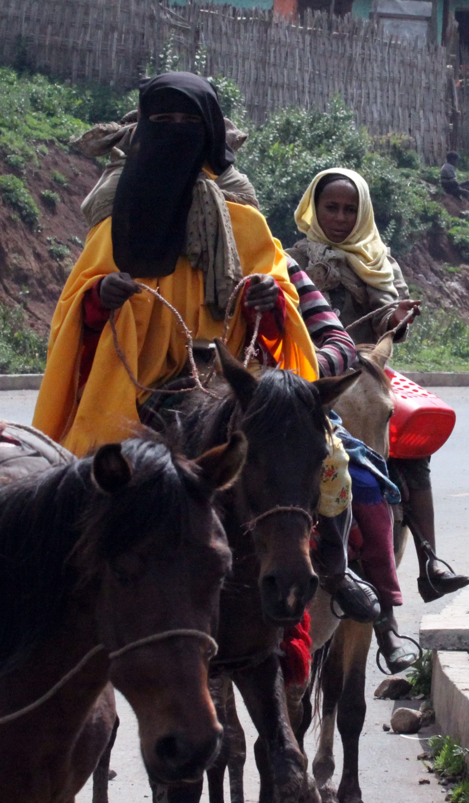 BALE MOUNTAINS NATIONAL PARK ETHIOPIA - GAYSAY GRASSLANDS (2).JPG