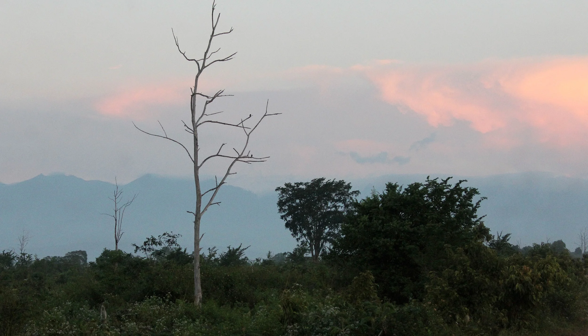 UDAWALAWA NATIONAL PARK SRI LANKA (4).JPG