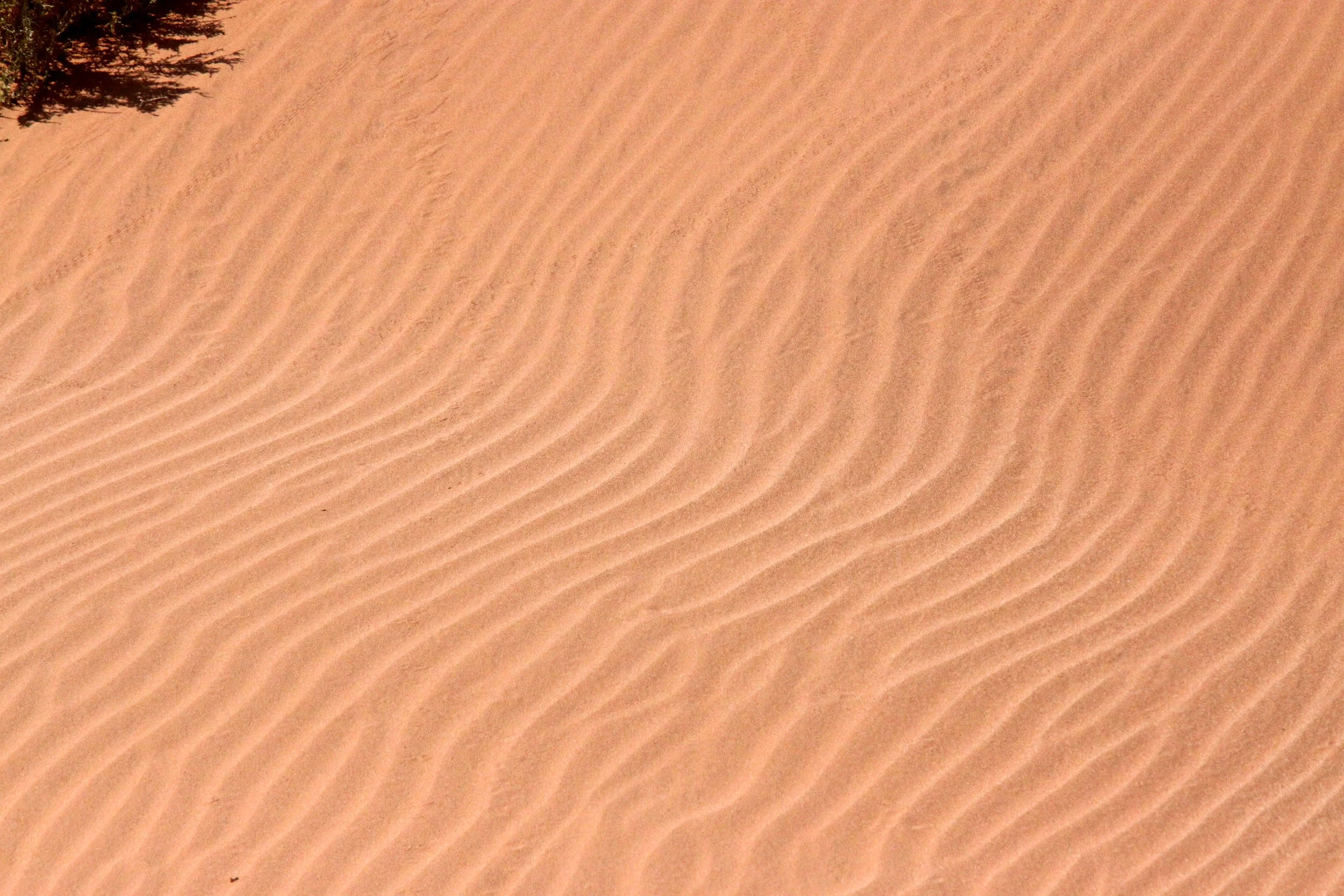 SOSSUSVLEI, NAMIB NAUKLUFT NATIONAL PARK, NAMIBIA (54).JPG