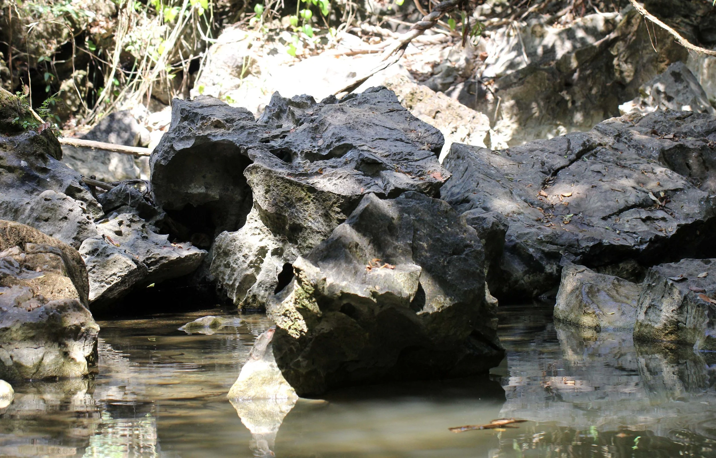 2014 Namthalu Cave Khao Sok National Park Surat Thani (1).JPG