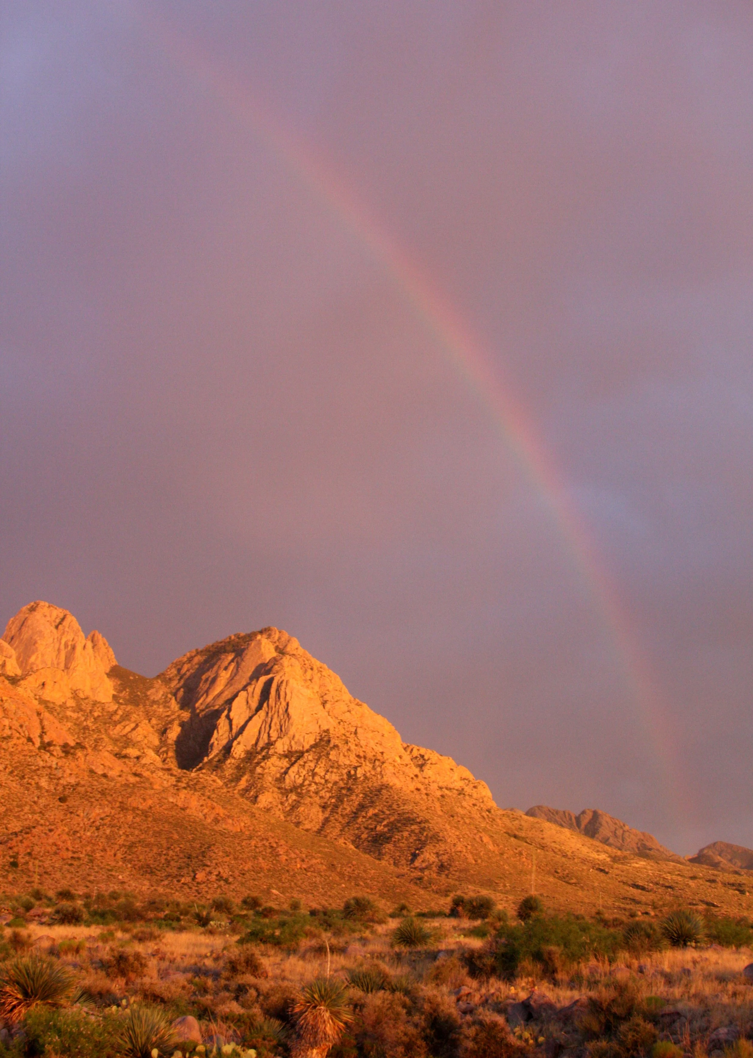 LAS CRUCES NEW MEXICO - ORGAN MOUNTAINS (20).JPG