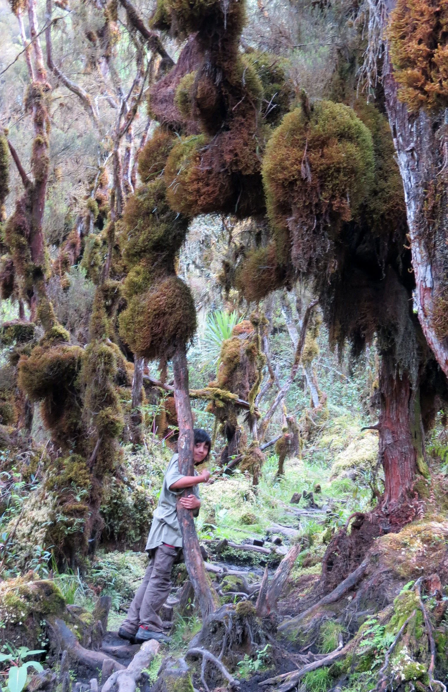RWENZORI NATIONAL PARK UGANDA (152).JPG