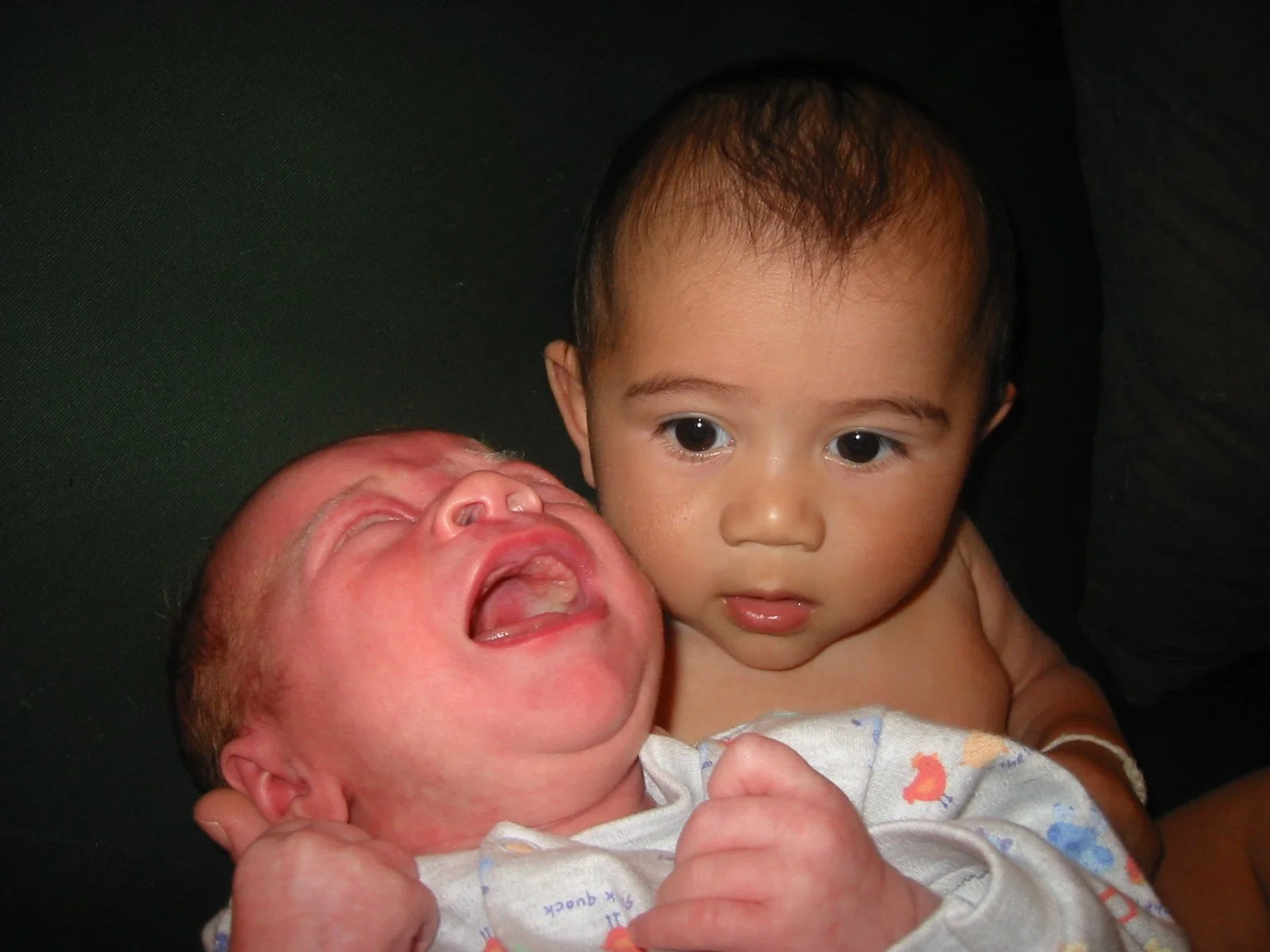 2003-4-2 SPRING TRIP TO SACRAMENTO (6).JPG