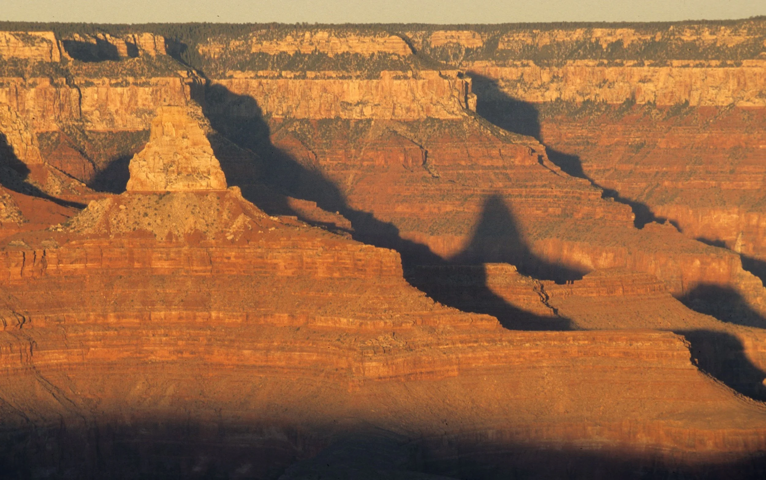 ARIZONA - GRAND CANYON - SOUTH RIM VIEW Y.jpg