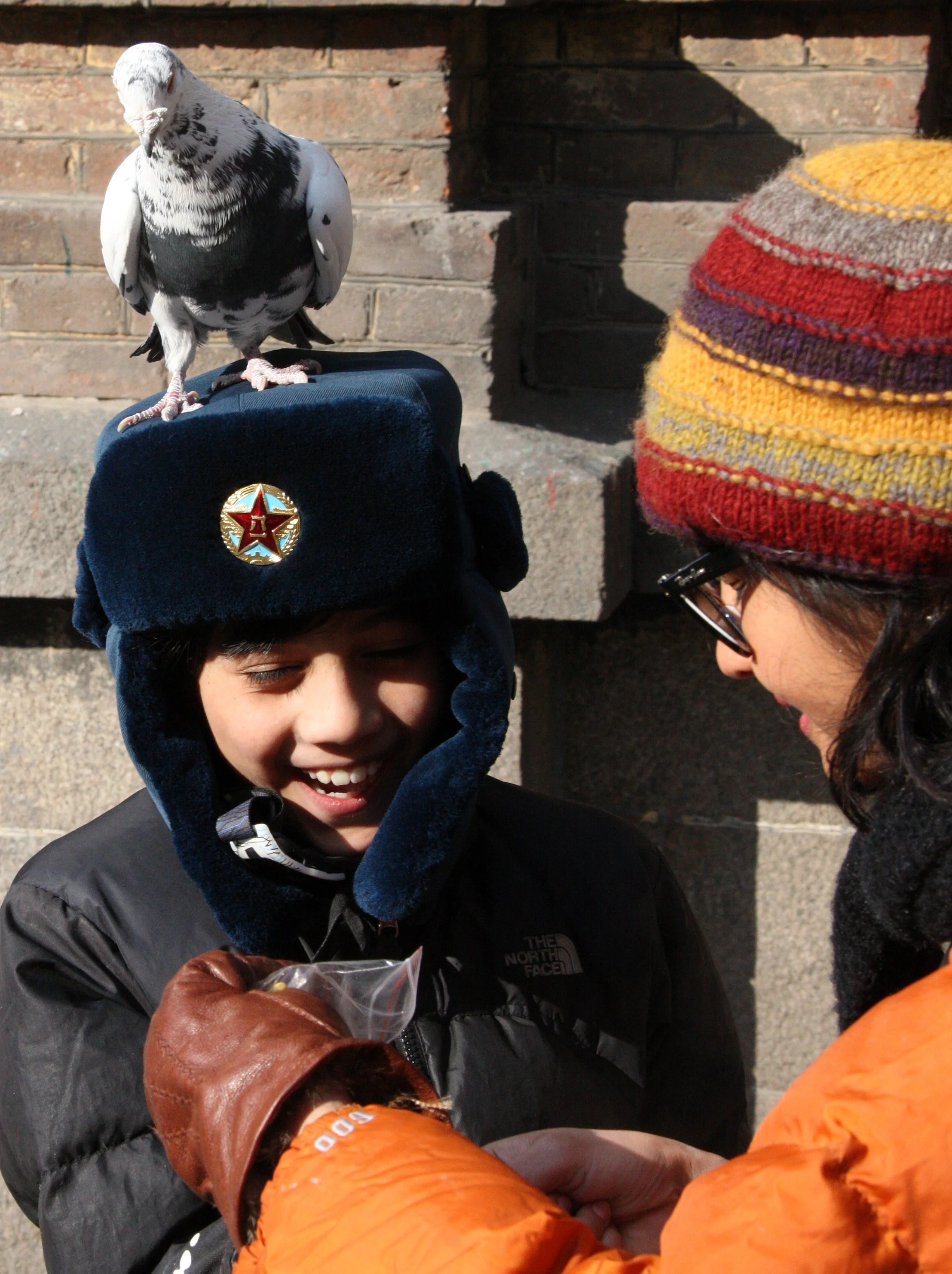 BIRD - PIGEON - HARBIN SAINT SOPHIA'S CATHEDRAL CHINA (50).JPG