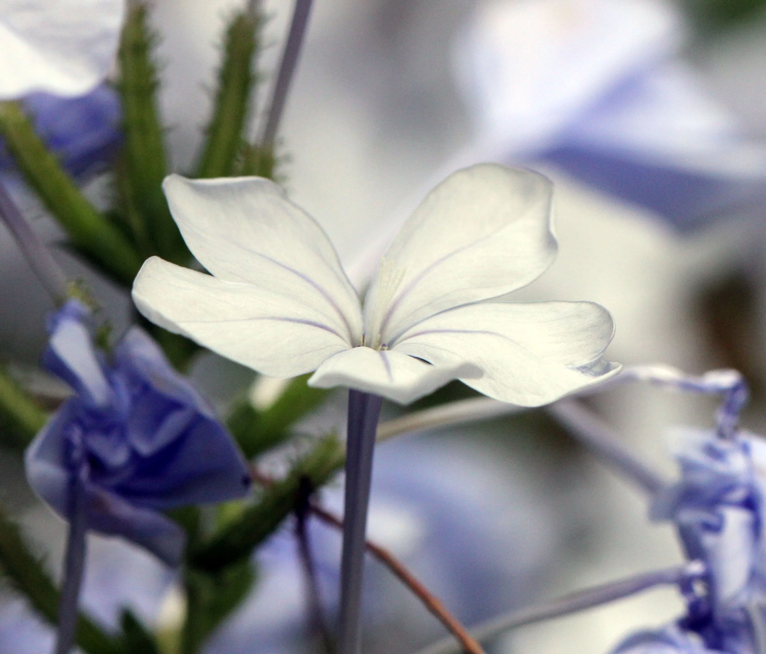 2013 Cha'am and Petchaburi with Family & Friends (8).JPG