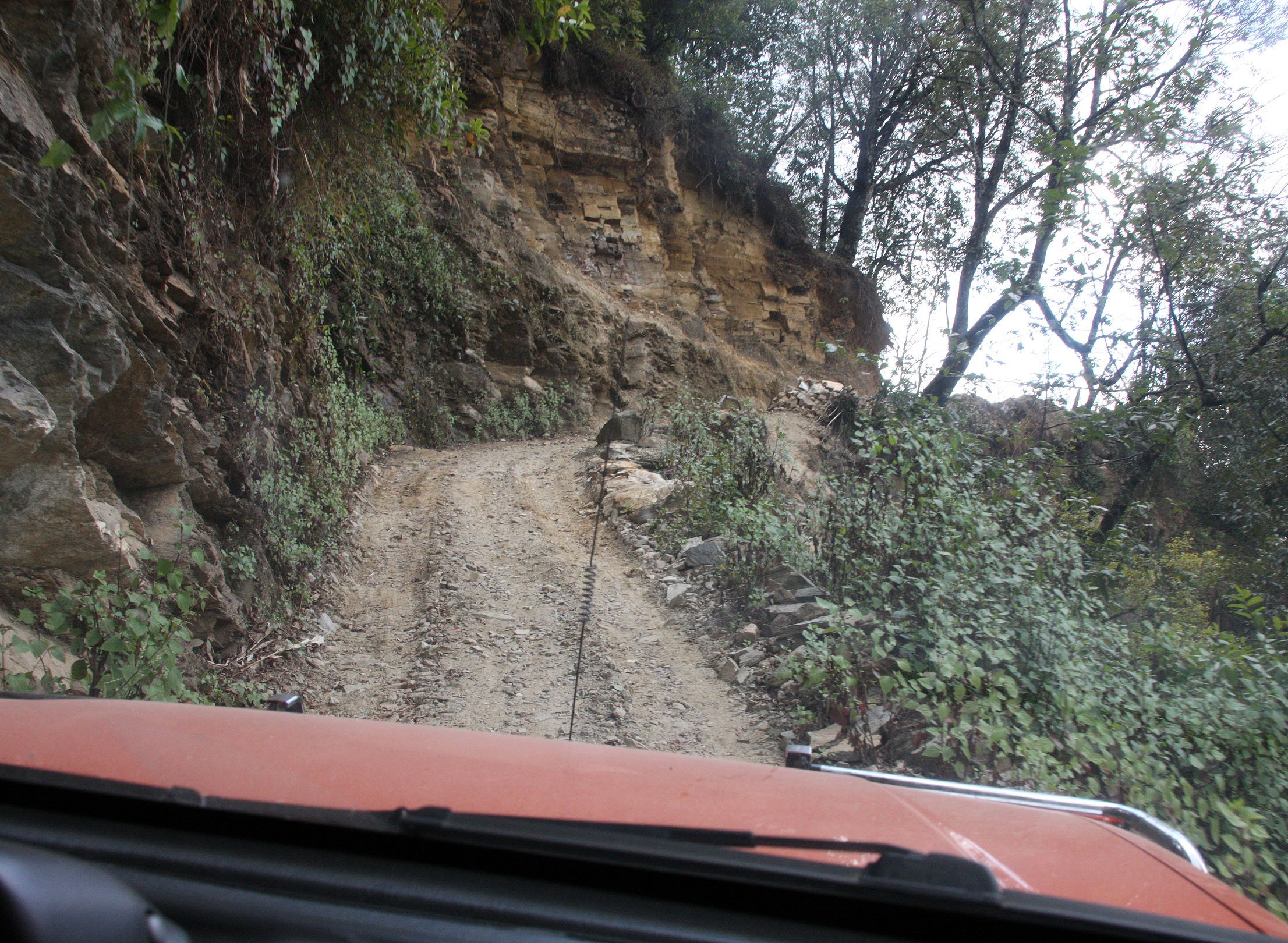 YUNNAN - WULIANGSHAN NATURE RESERVE AND SURROUNDING REGION (49).JPG