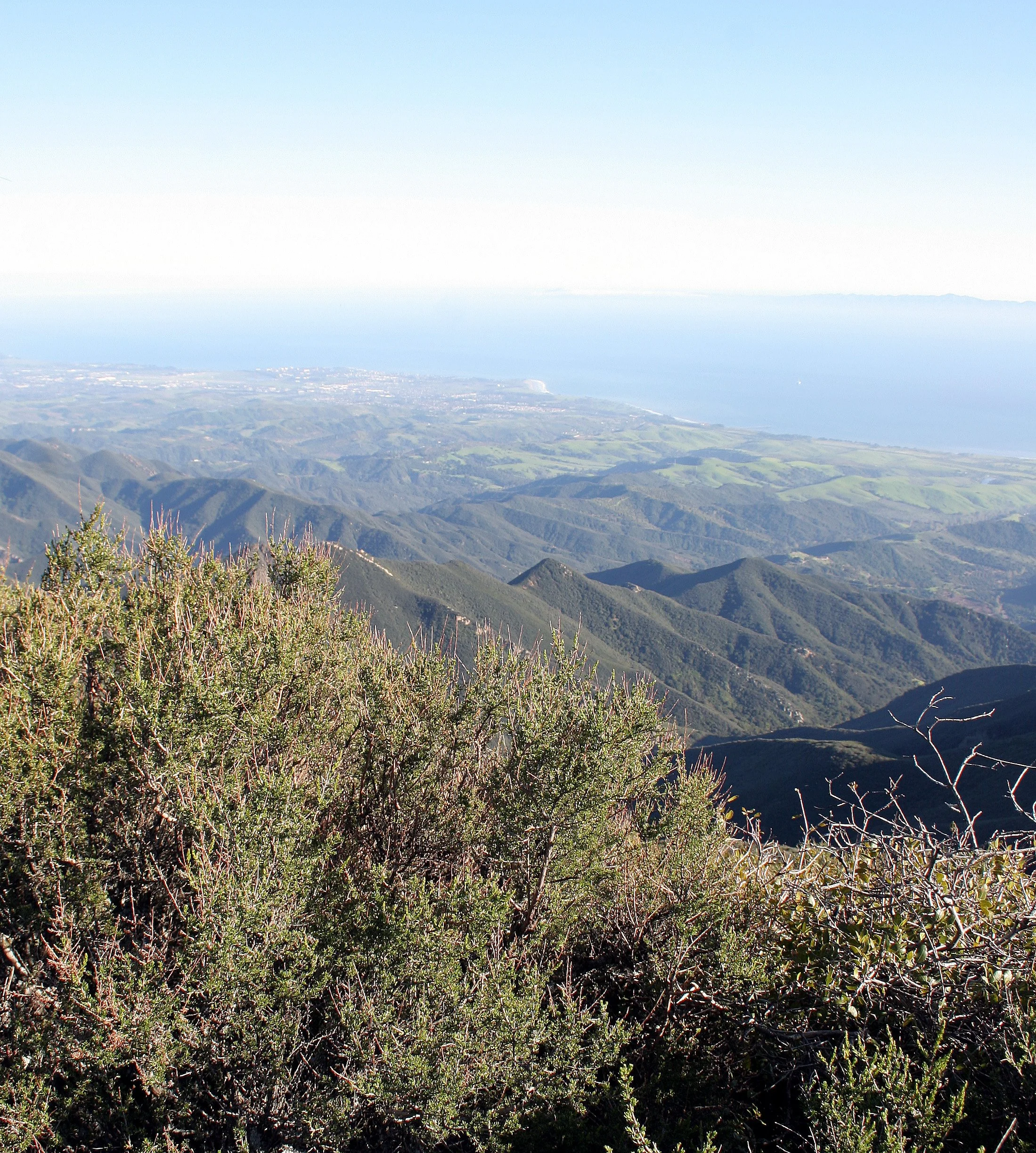 CALIFORNIA - CHANNEL ISLANDS NP - SANT CRUZ ISLAND (4).jpg