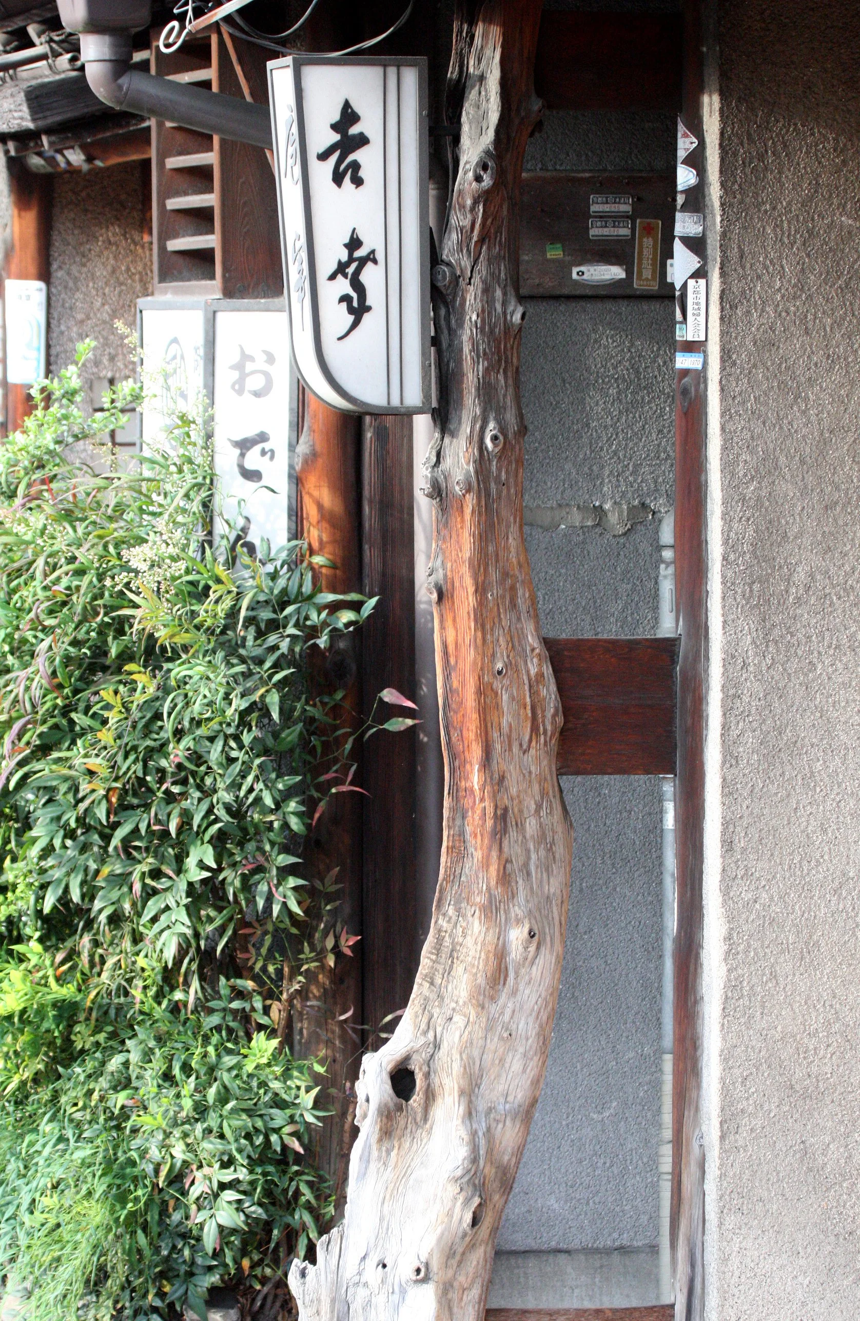 KYOTO - MAY 2009 - CITY SCENES AND LANDSCAPES (24).JPG