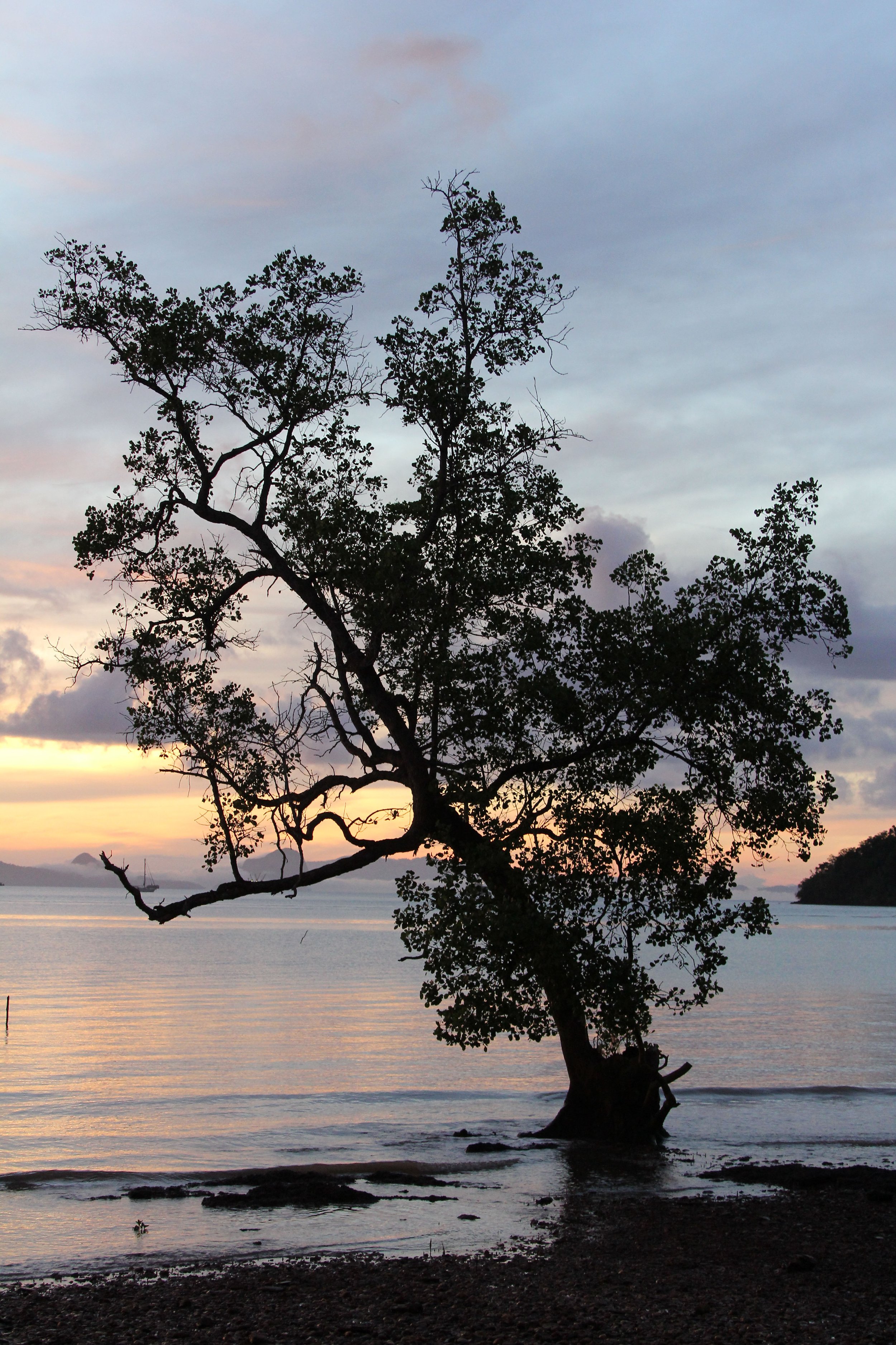 2016 Koh Lanta Landscapes, House Pictures and Family Fun (161).JPG