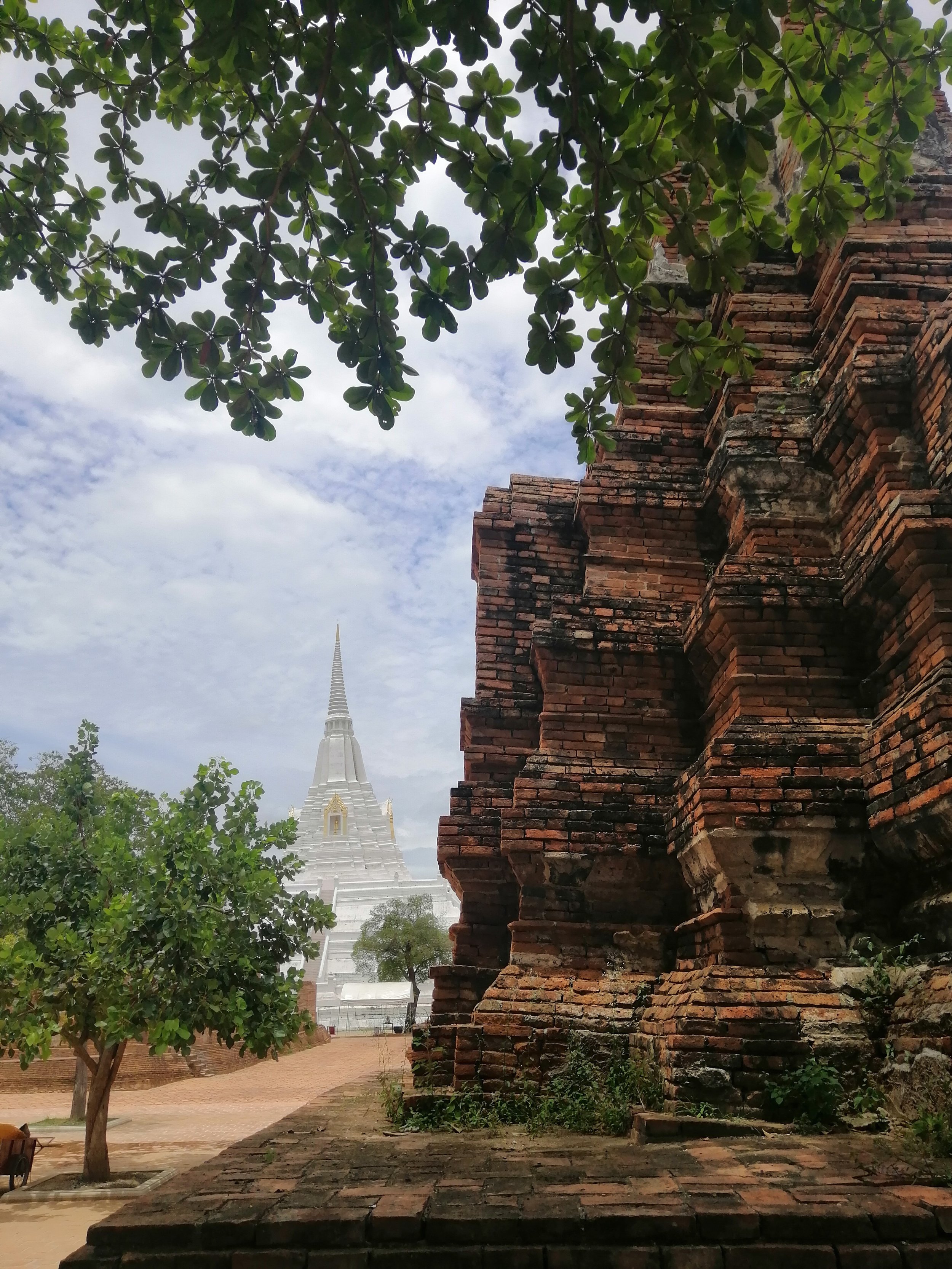 2019 Ayutthaya Wat Phukhao Thong Summer Road Trip (12).jpg