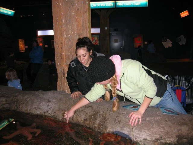 2005-10-29 DAY TRIP TO SEATTLE MUSEUMS AND AQUARIUM (11).JPG