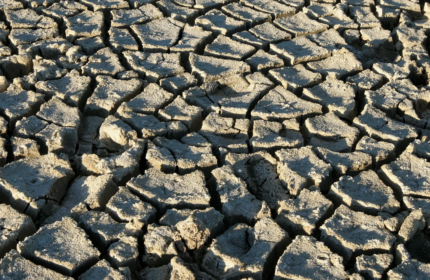 NAMIBIA - ETOSHA NATIONAL PARK  - ETOSHA PAN (7).JPG